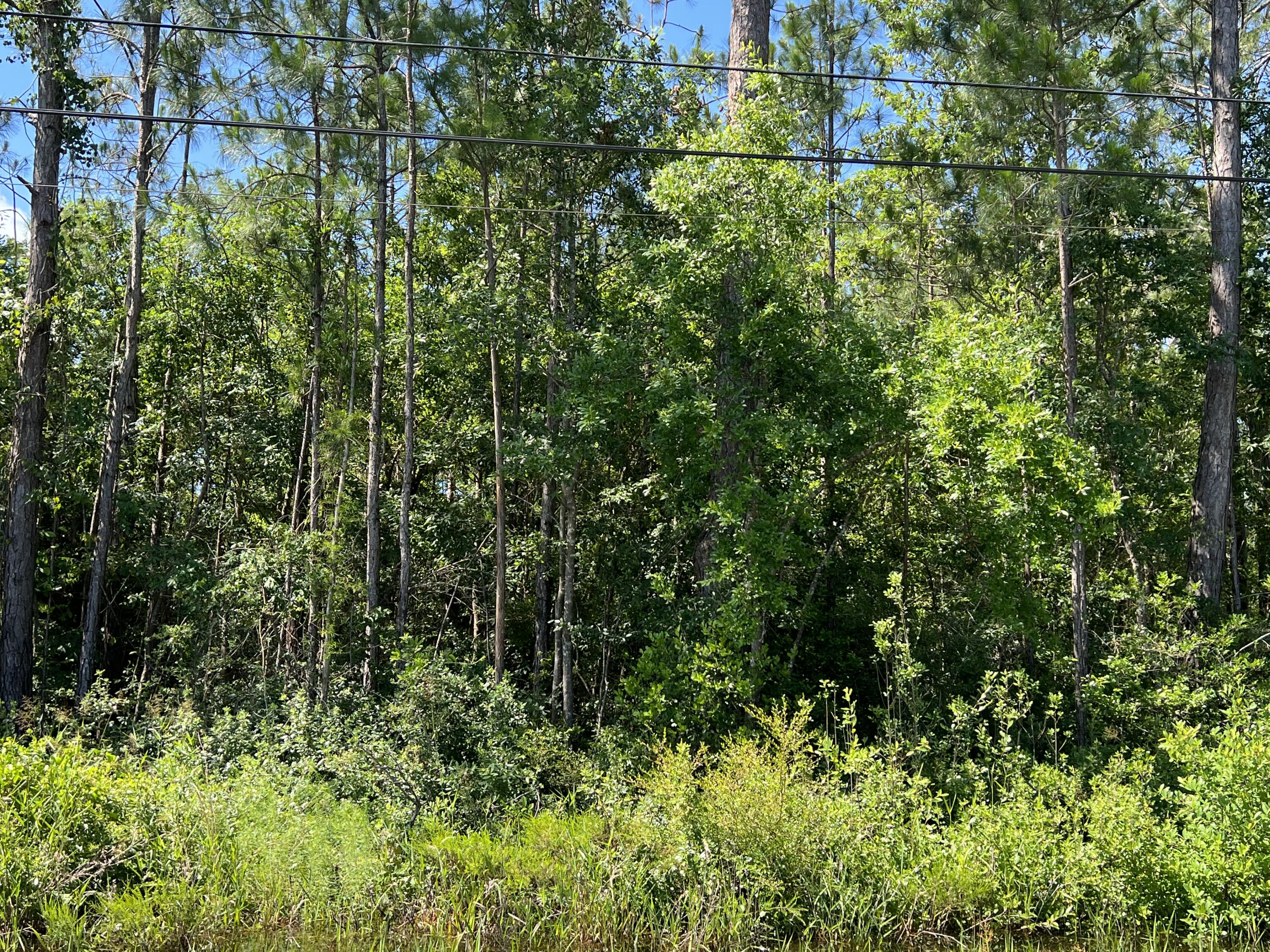 Lot in Holley by the Sea; Wetlands study being done and will be uploaded when finished; Build your dream home on .46 acres in Holley by the Sea; HBTS has 3 pools, tennis courts, beach playground, gym and much more!