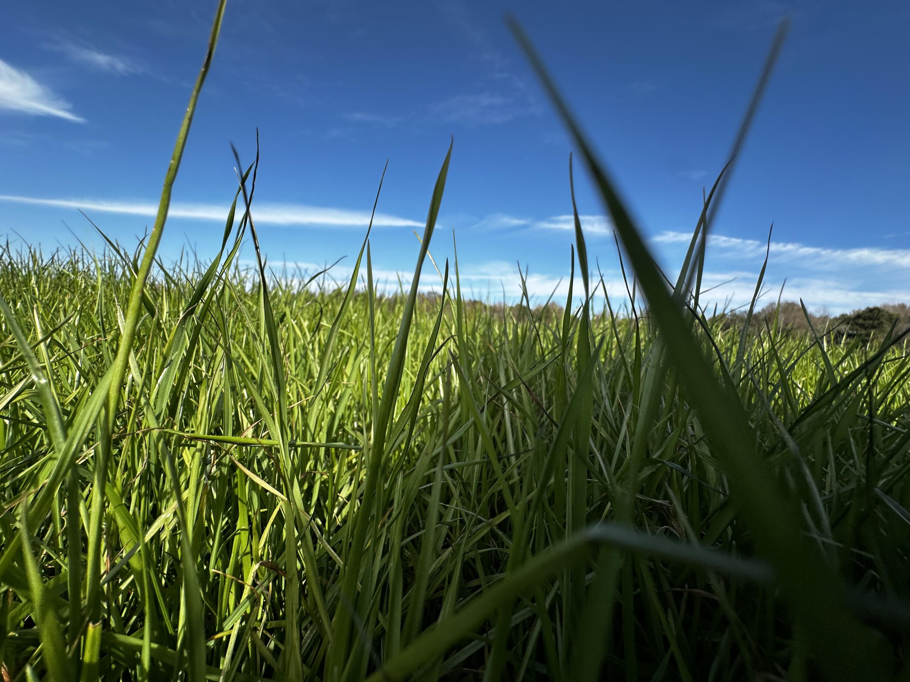 NO RECORDED SUBDIVISION - Land