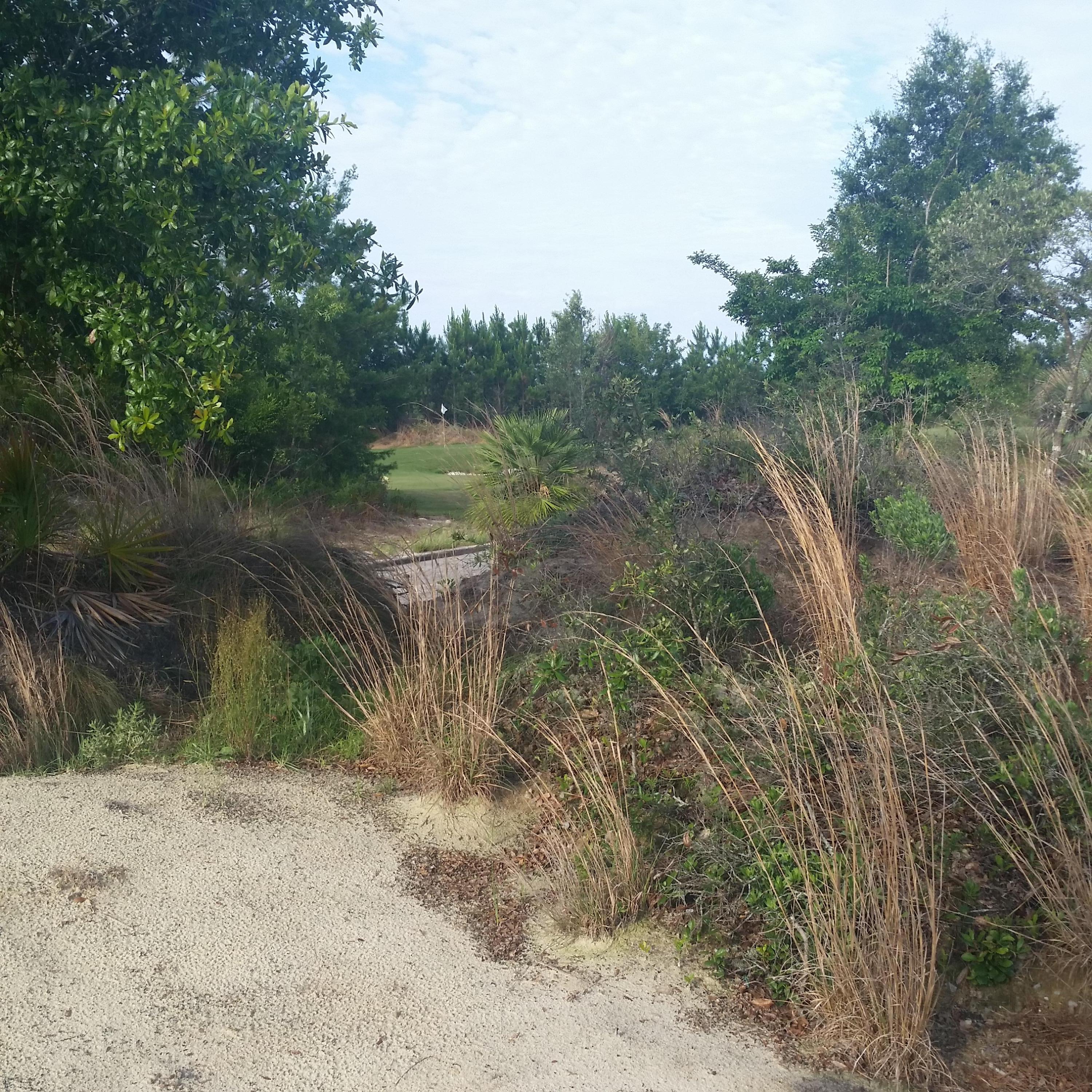 WINDSWEPT ESTATES - Land