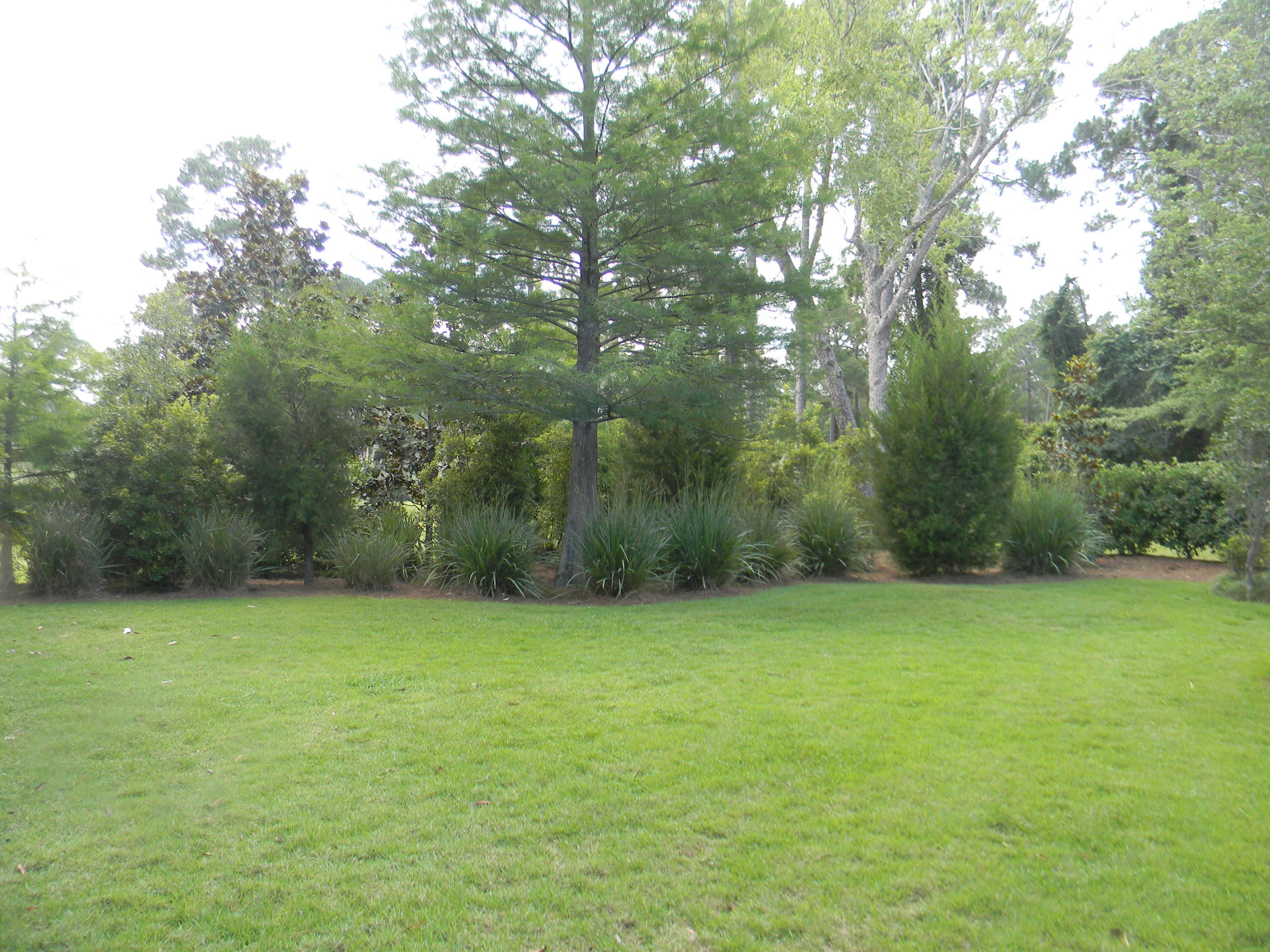 ST ANDREWS VILLAGE SOUTH 2 - Residential