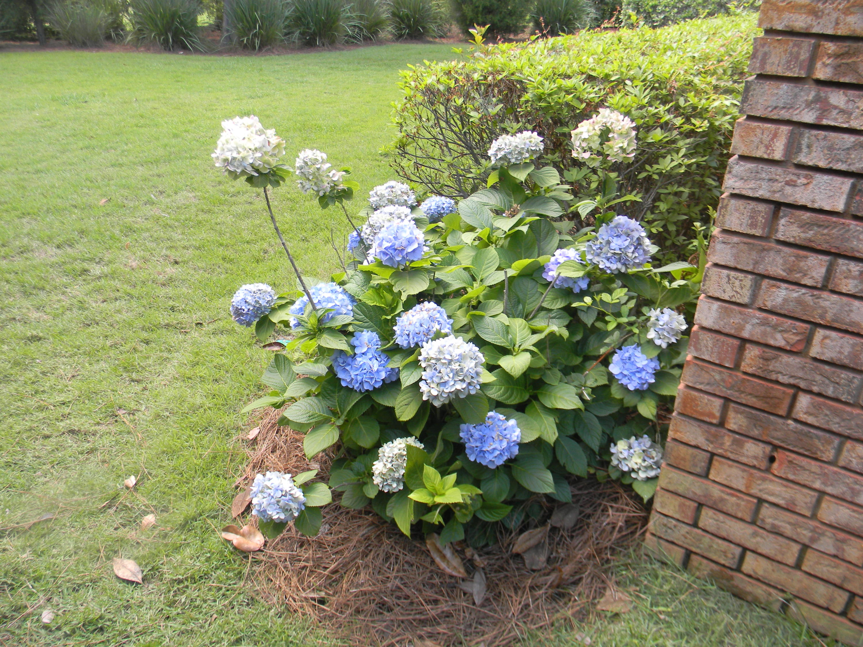 ST ANDREWS VILLAGE SOUTH 2 - Residential