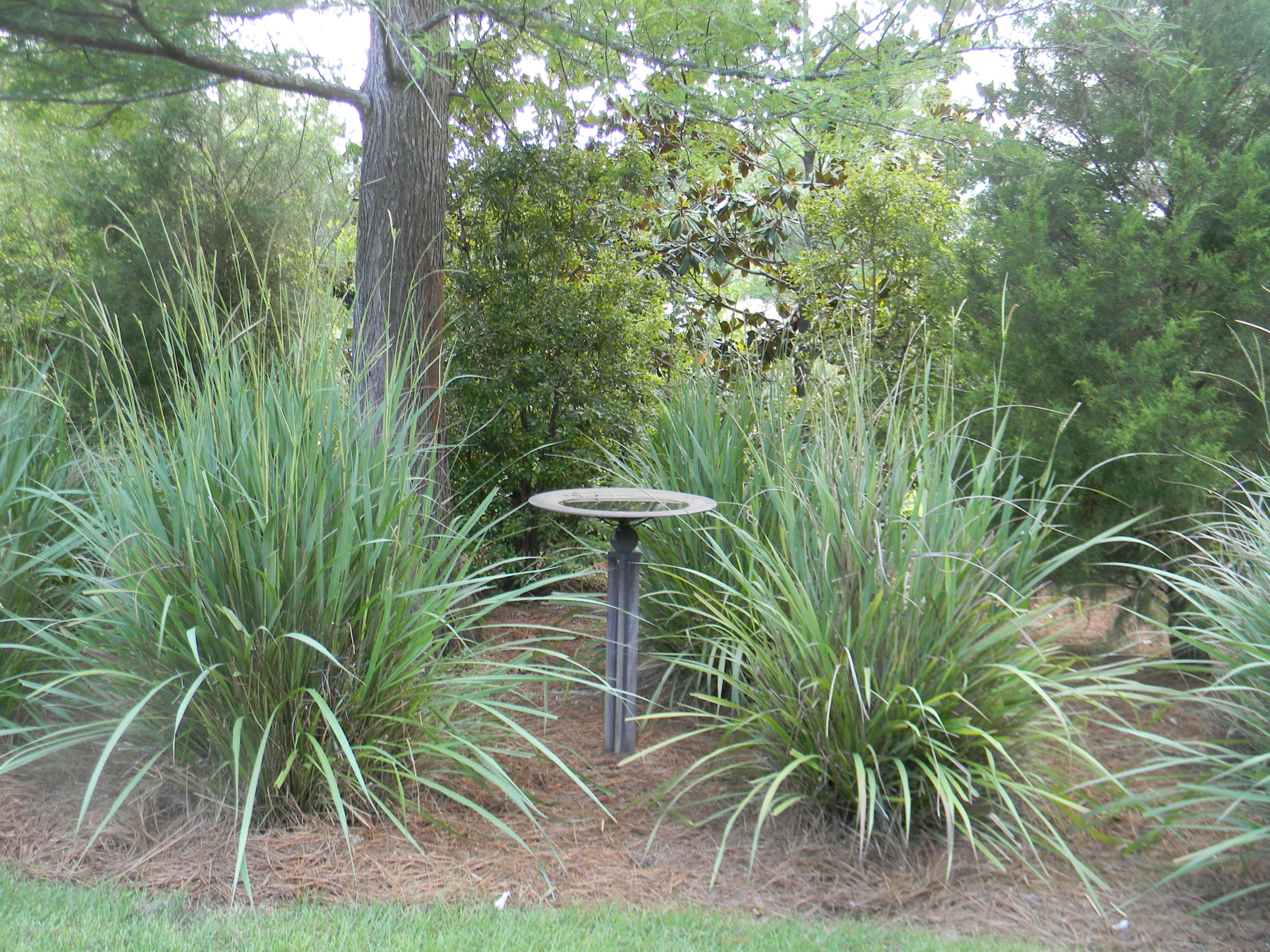 ST ANDREWS VILLAGE SOUTH 2 - Residential