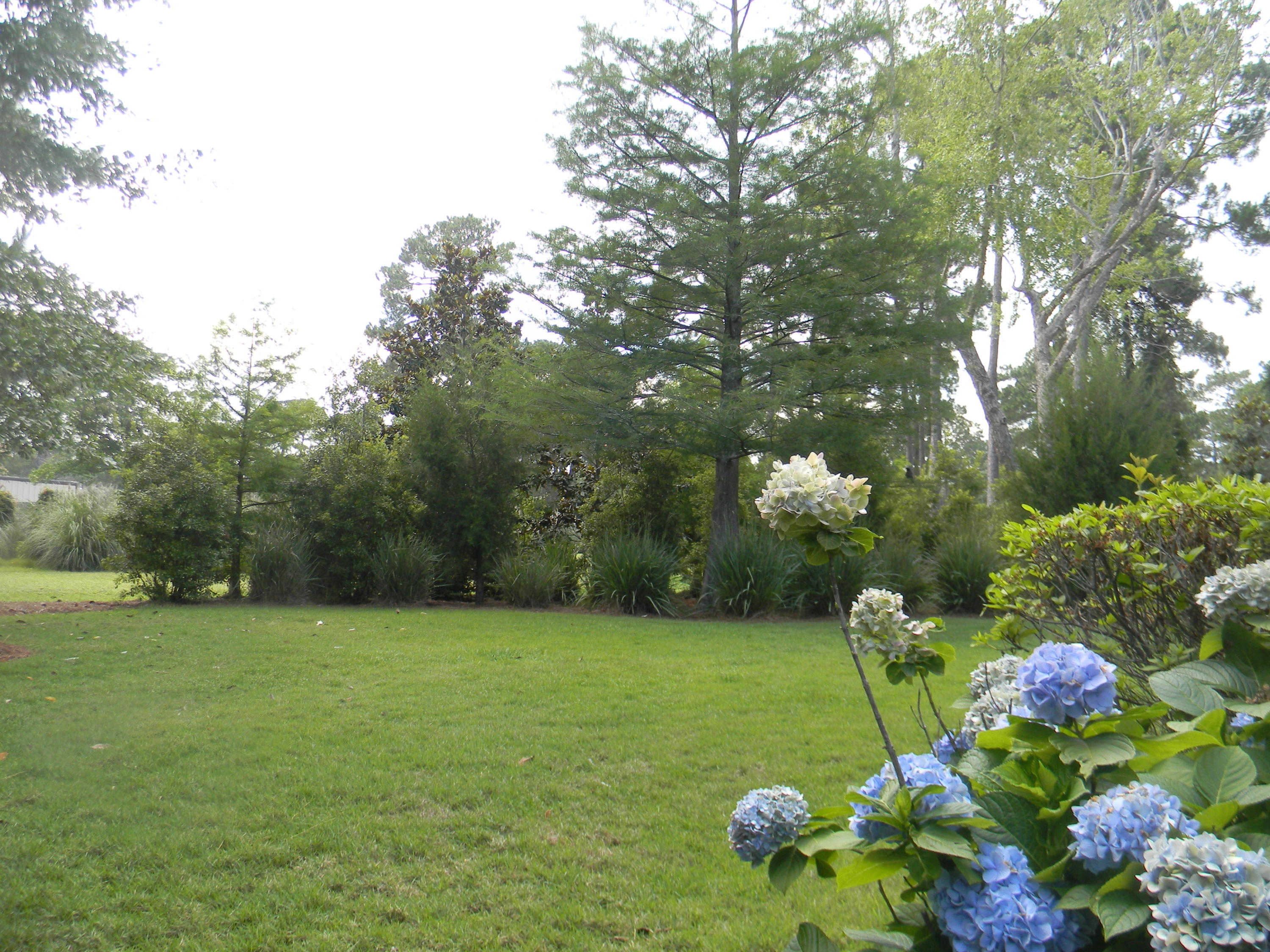 ST ANDREWS VILLAGE SOUTH 2 - Residential