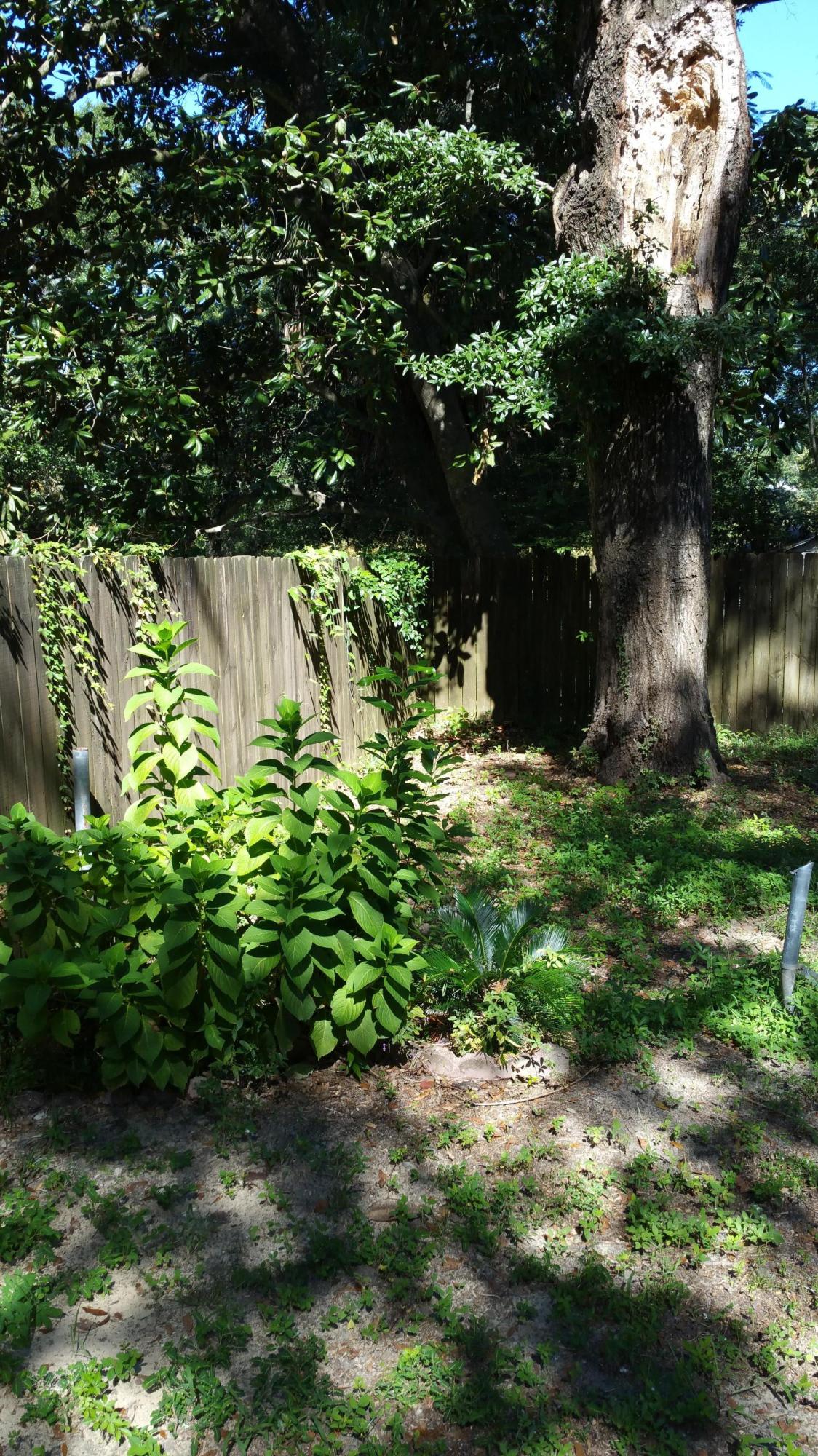 CITY OF CRESTVIEW - Residential