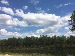 METES & BOUNDS - Residential Lease