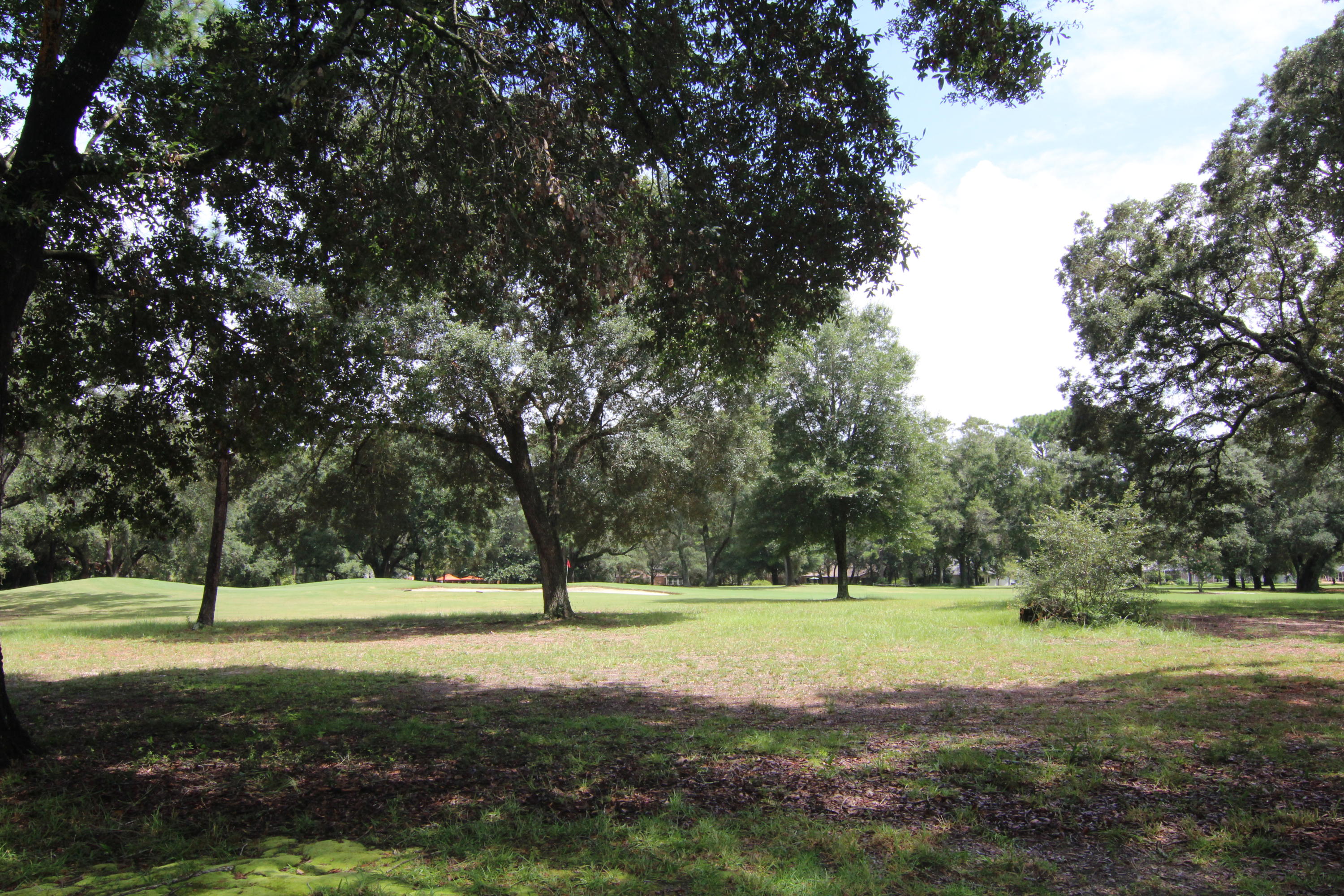 LE CHATEAU - Residential