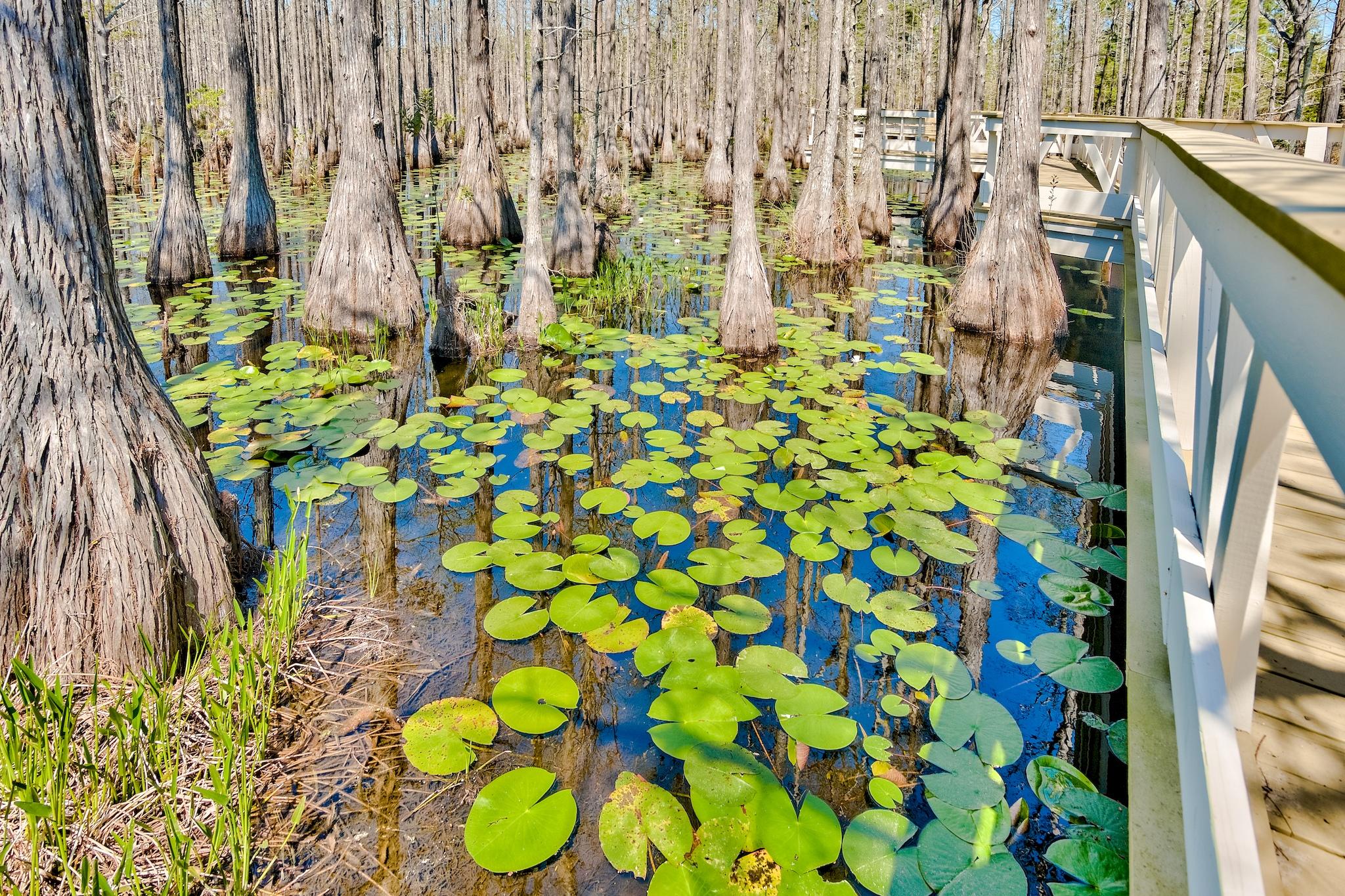 CYPRESS DUNES - Residential