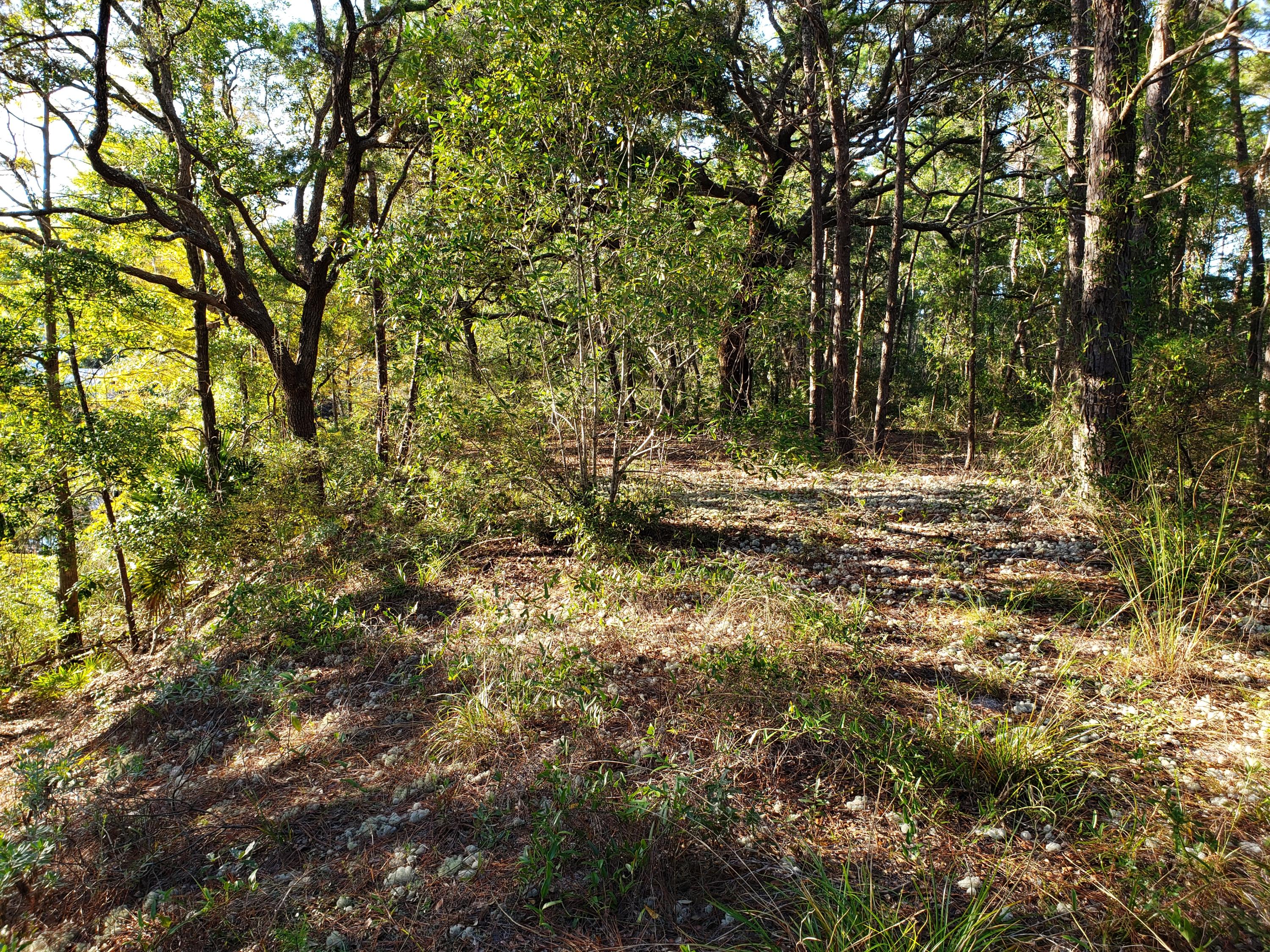 Daughettes 1st Addition - Land