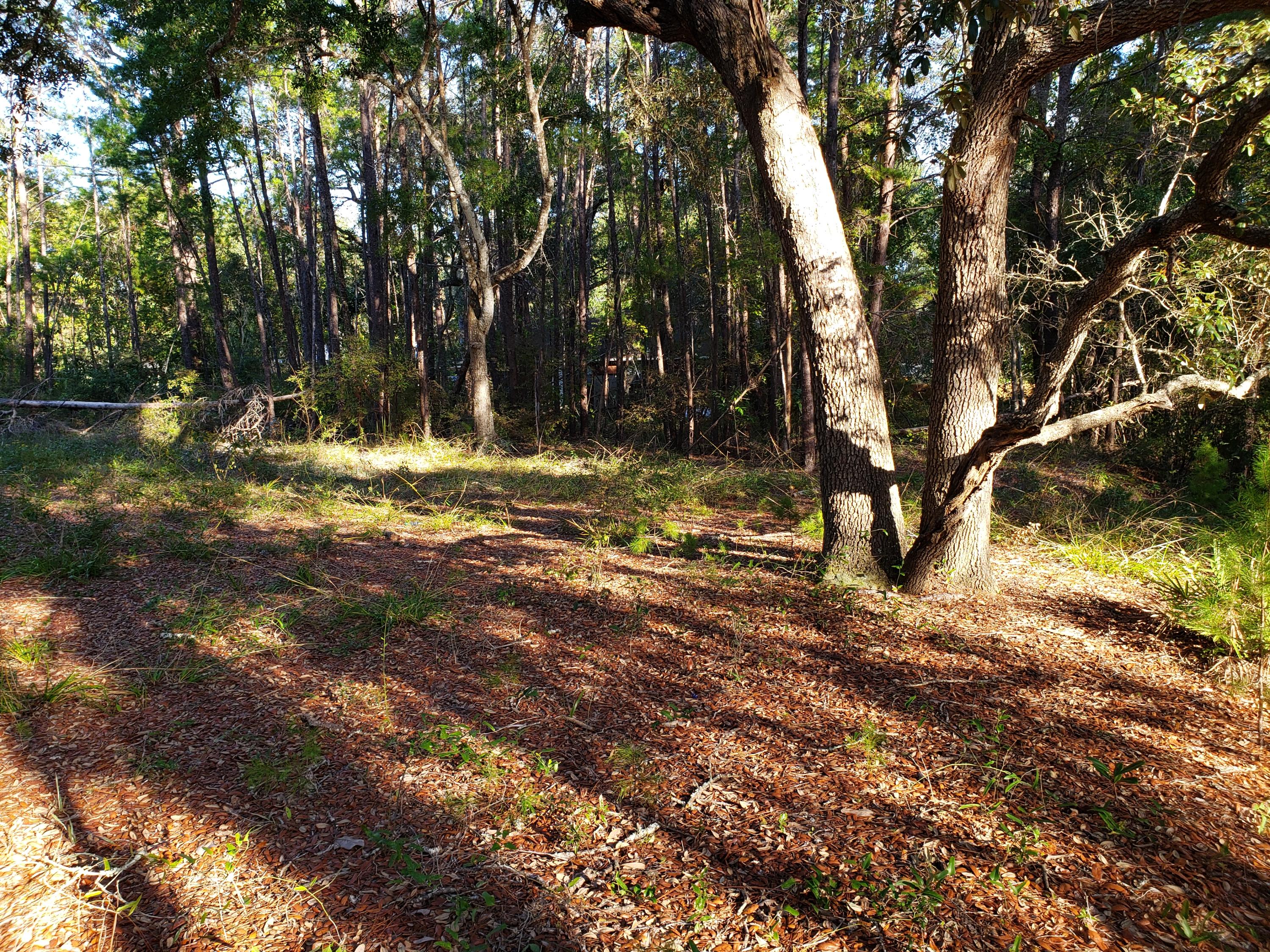 Daughettes 1st Addition - Land