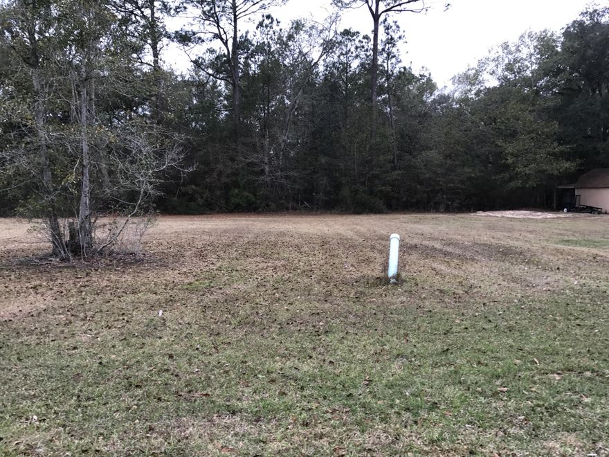 Looking for a nice neighborhood to build your new home? Here it is in the heart of Freeport just minutes to Hwy 331 and the new Publix. This lot is cleared and ready for you to build your new home. There are underground utilities and attractive homes in the neighborhood. No mobile homes allowed. Stop by and see this lot today before it's gone.