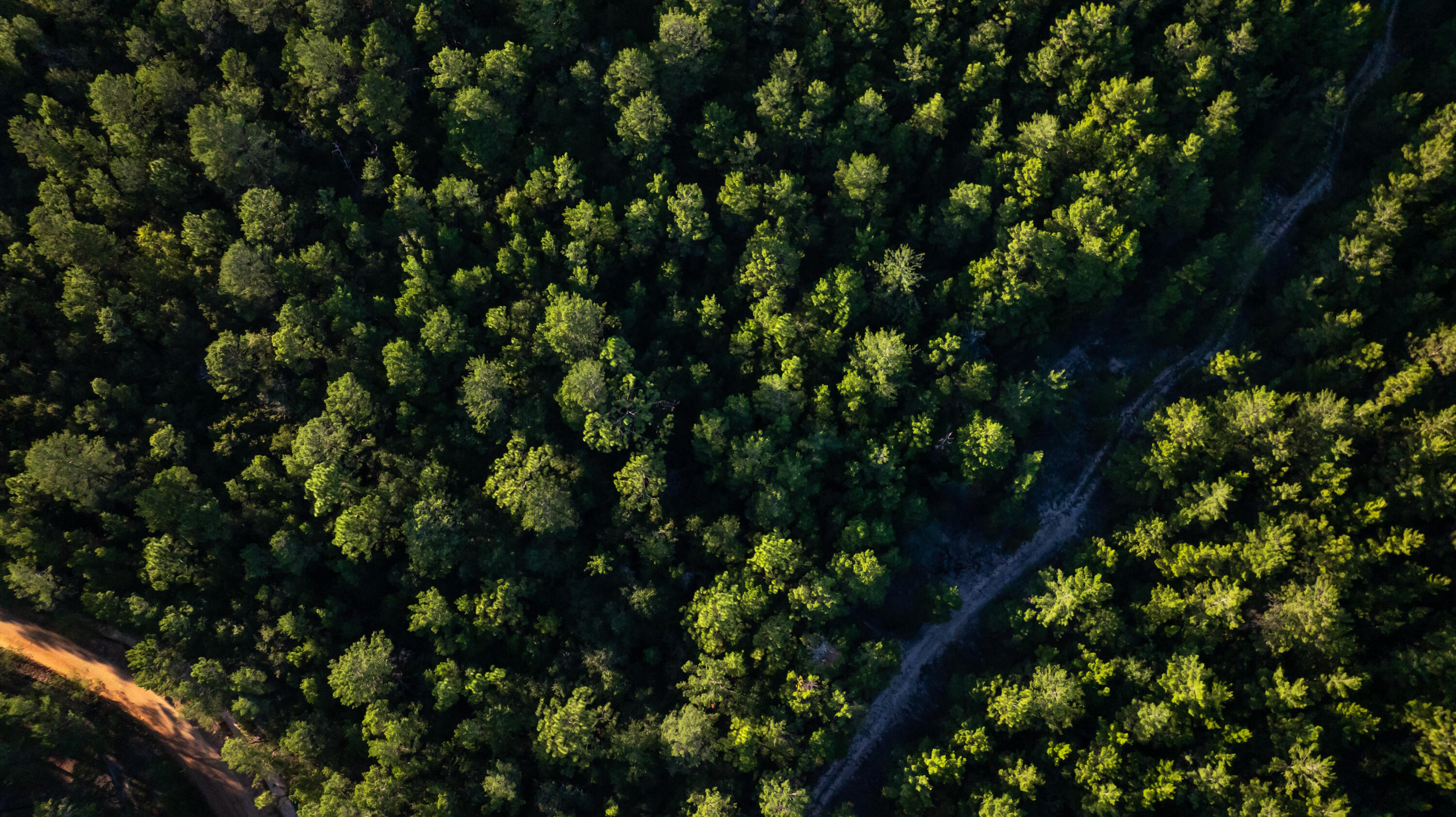 WOODLANDS OF CLEAR CREEK, UNRECORDED - Land