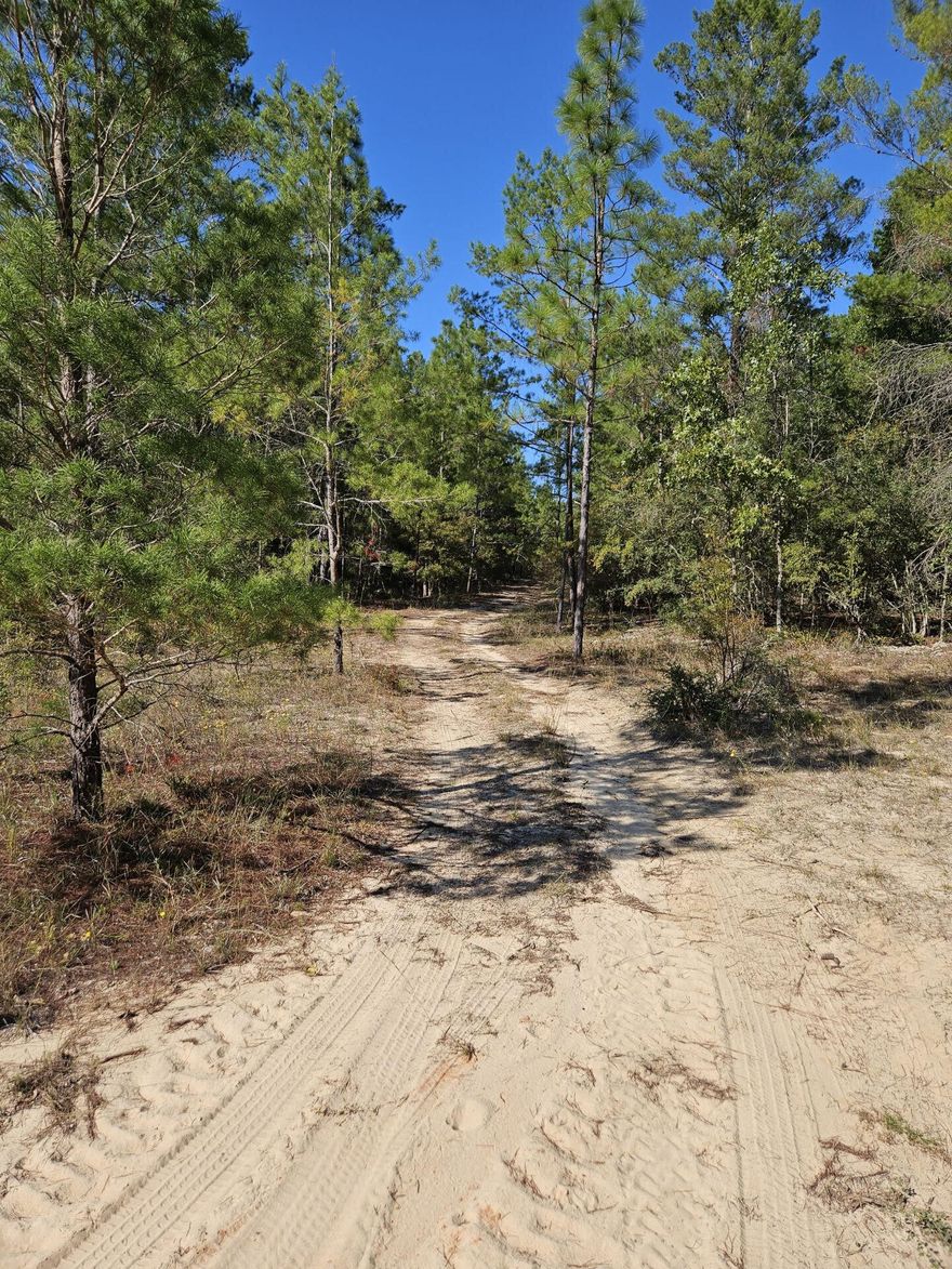 1.9 Acres of Possibility in North Crestview!Build your dream homestead on this beautiful 1.9-acre parcel, perfectly situated on the north end of Crestview&#151;close to schools, shopping, restaurants, and the hospital, yet tucked away on a private road for peace and tranquility. This lightly wooded, level property offers just the right balance of privacy and open space, with power already on site and no HOA restrictions to limit your vision. Zoned Rural Residential, this land is ready for your dream home, garden, or getaway retreat!