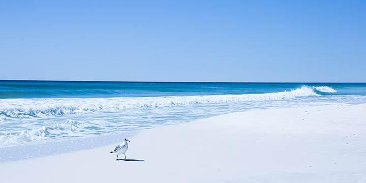 MIRAMAR BEACH VILLAS - Residential