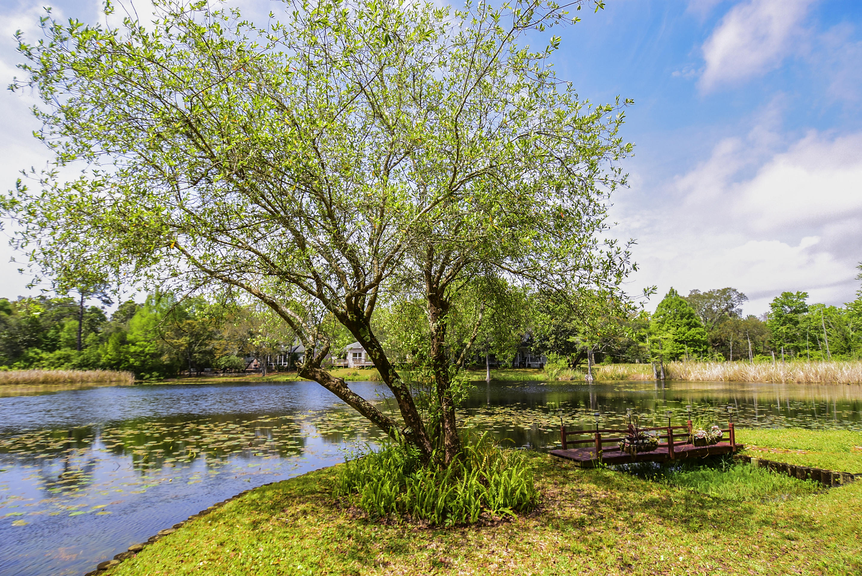 INDIAN SHORES PH 1 - Residential