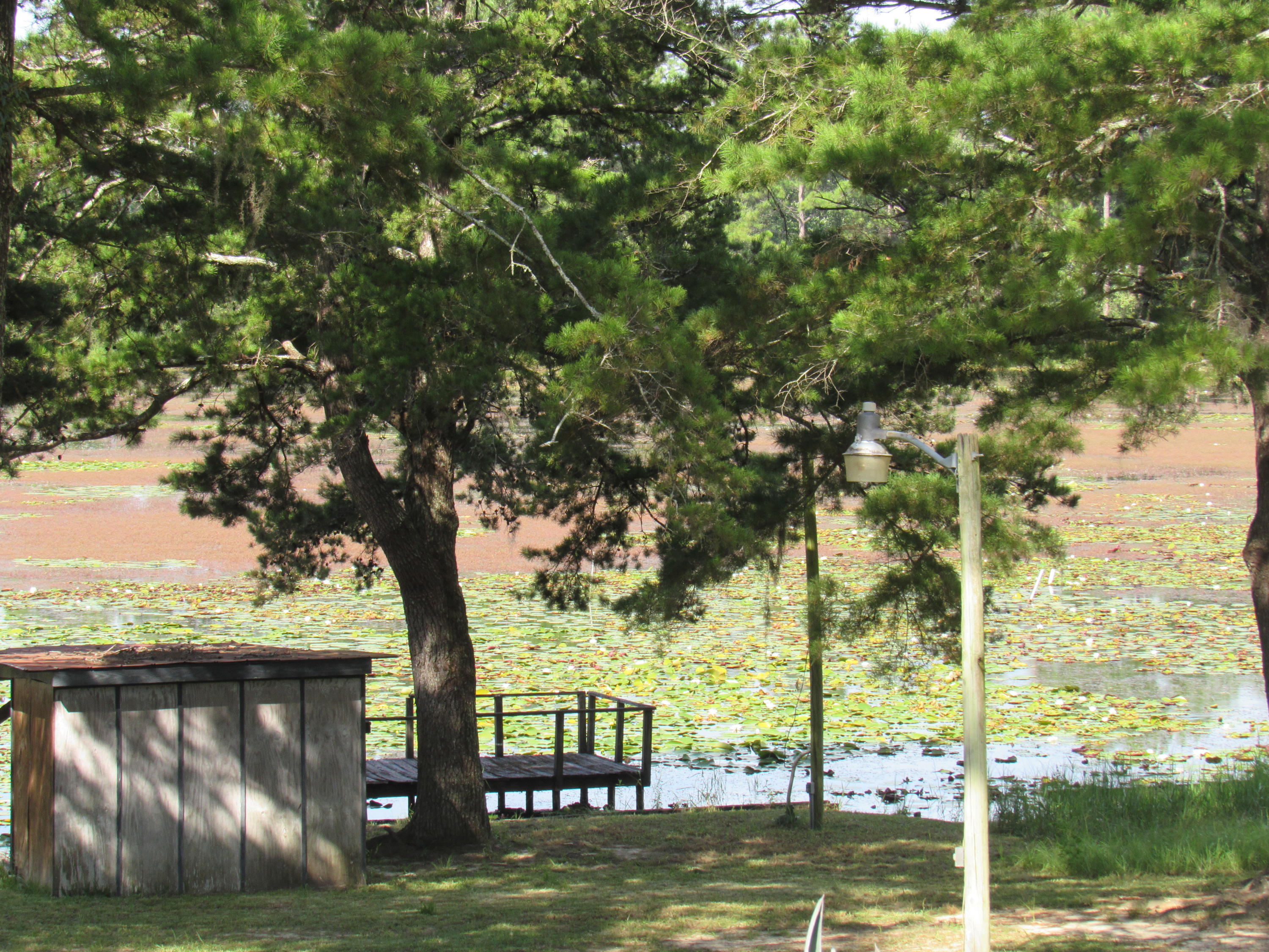 JUNIPER LAKE S/D UNRECD - Residential