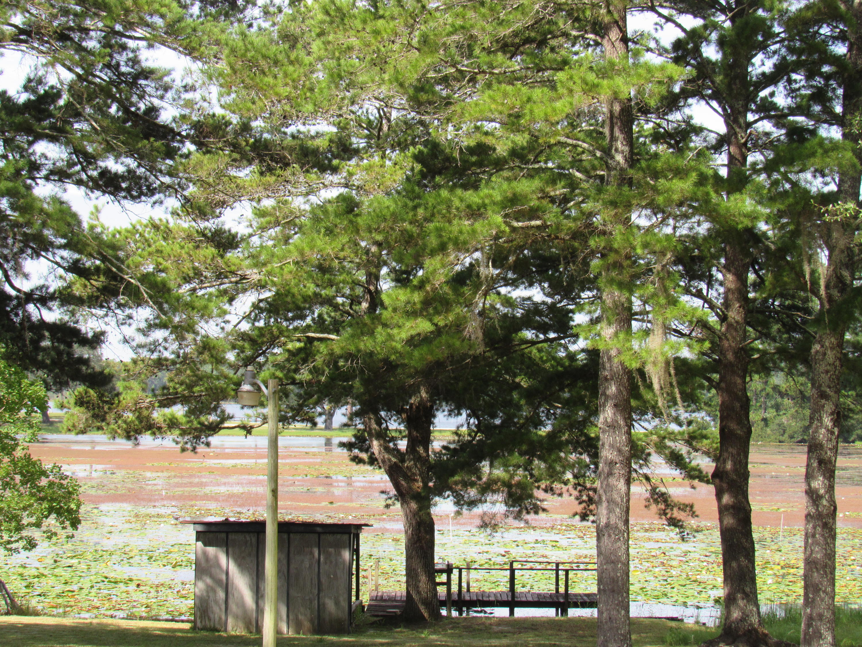 JUNIPER LAKE S/D UNRECD - Residential