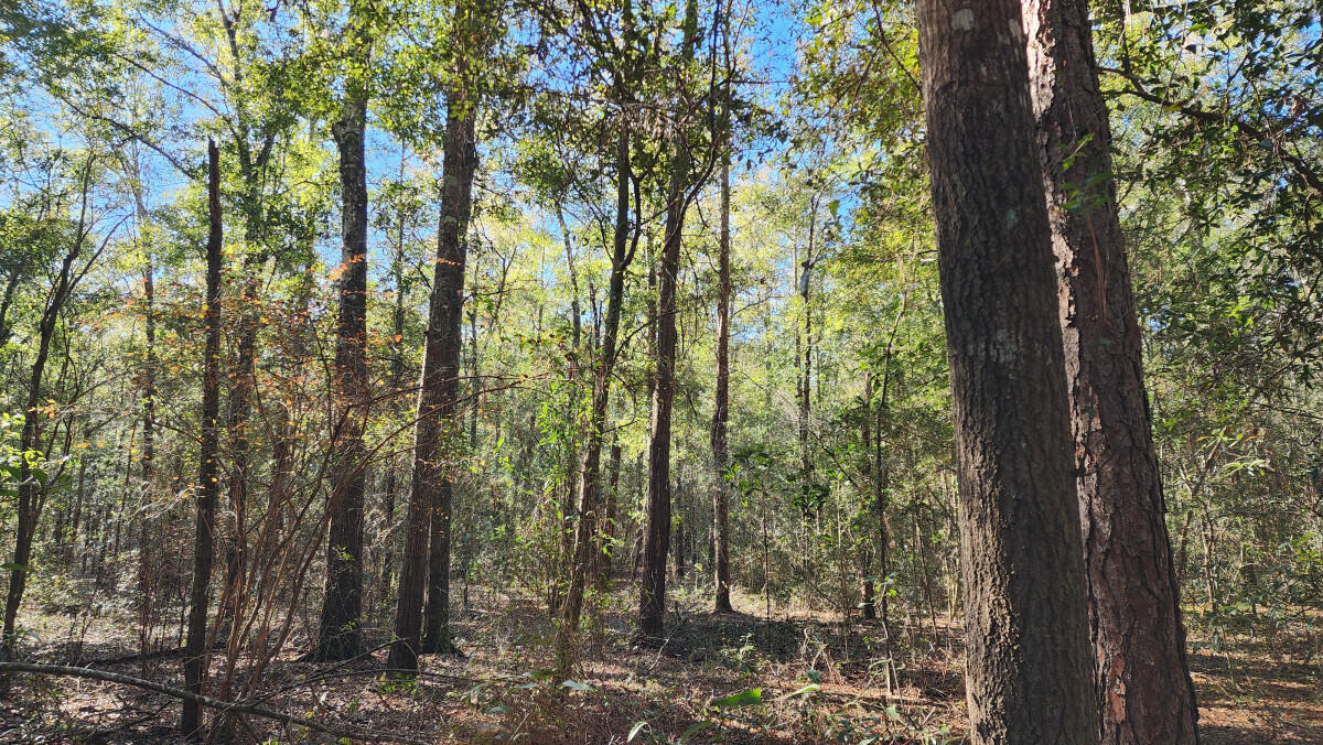 METES & BOUNDS - Land