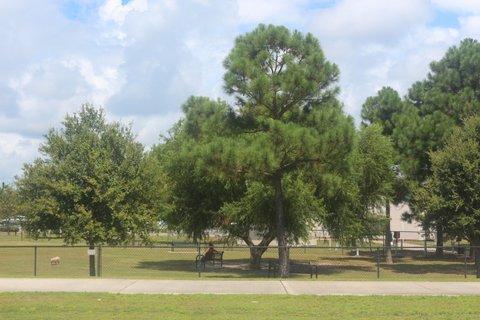 INDIAN LAKE - Residential