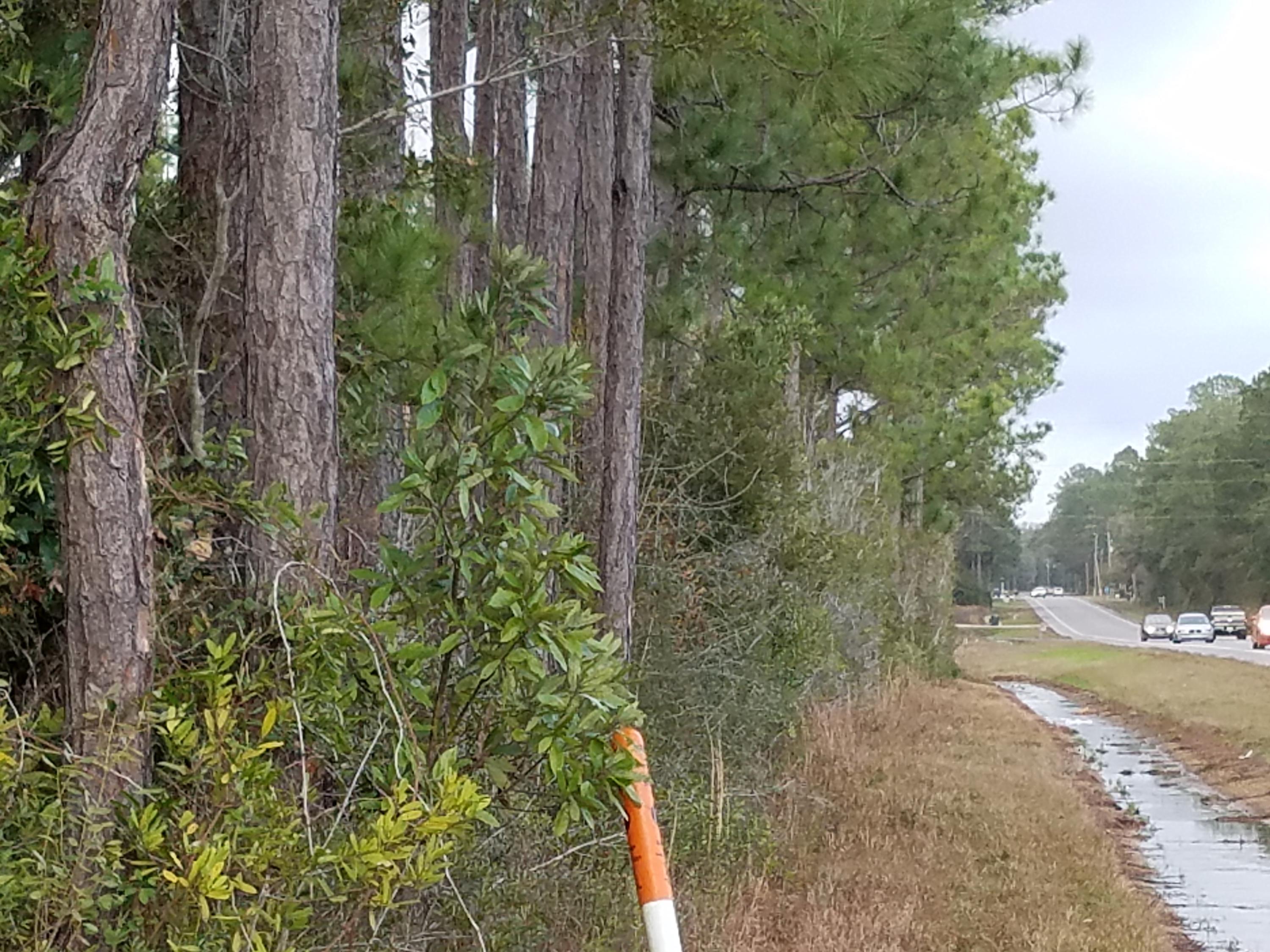 If the convenience of having ALL public utilities including water, sewer, cable and high speed internet on a beautiful 4.66 acre parcel that is high and dry in a Zone X is for you, then you are home! This land sits along Hwy 20 between Niceville and Freeport with 900 feet of highway frontage. You can have a driveway off of Hwy 20 or King Rd. It is Zoned Estate Residential which leaves it up to you to build just about anything you would like. Just 1 mile away is a public boat launch and the stores of Niceville and Freeport are just minutes away as well as the beautiful sugar white sand beaches. You will enjoy the wildlife and mature tree growth that surround you in this tranquil setting. It is rare to have this much room, high and dry with all utilities at such a low price per acre