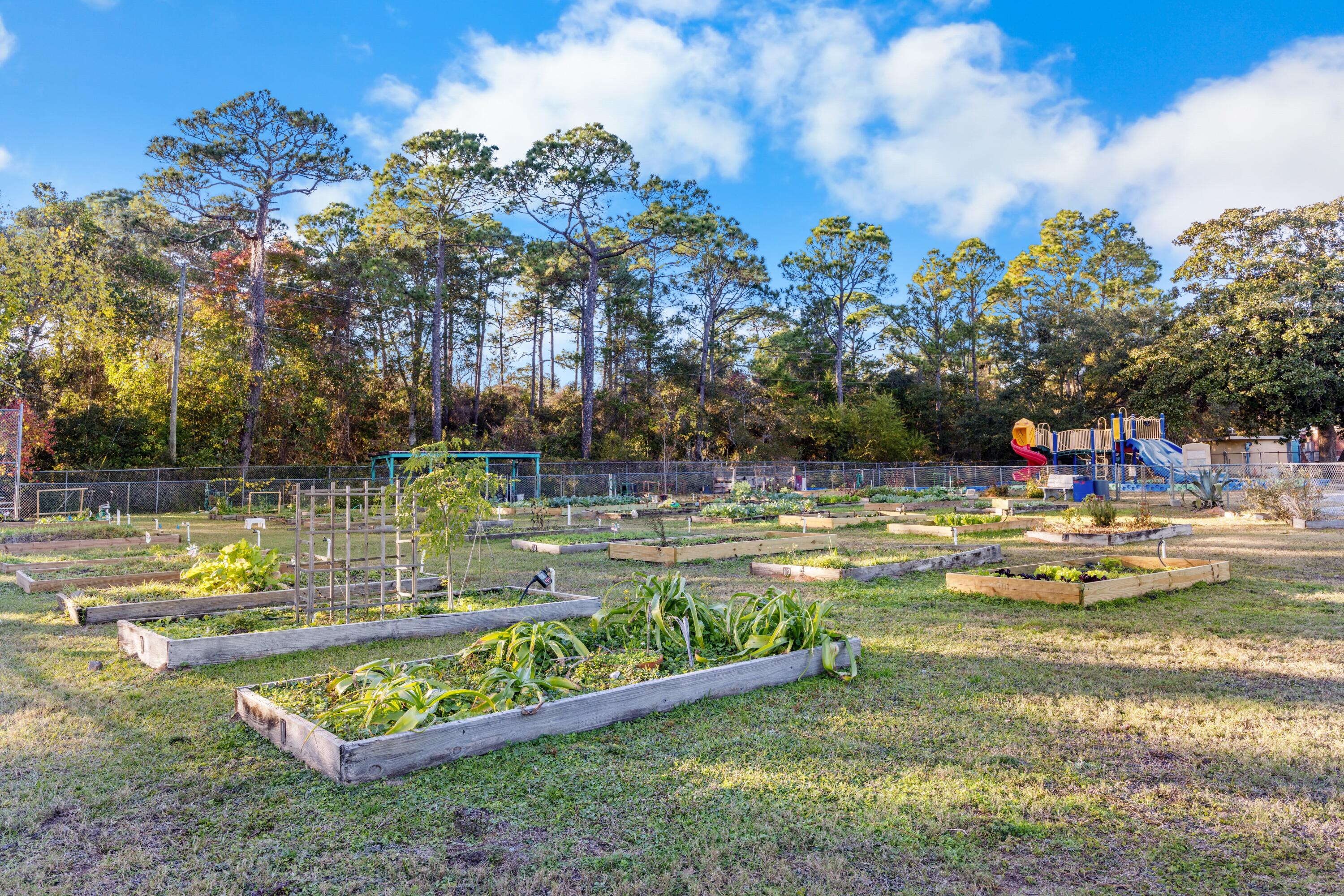 SPRINGDALE - Residential