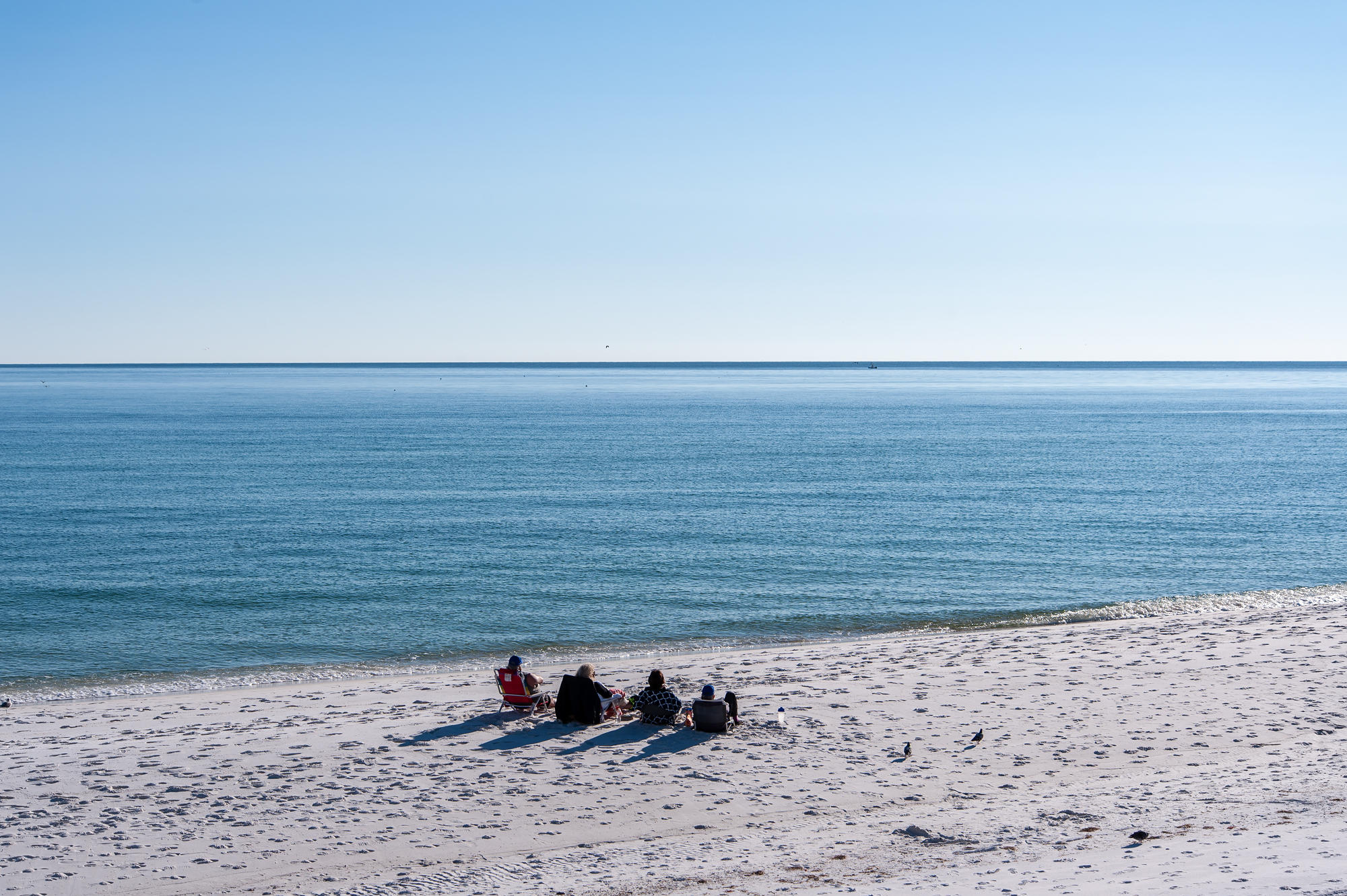 MAGNOLIA HOUSE - Residential