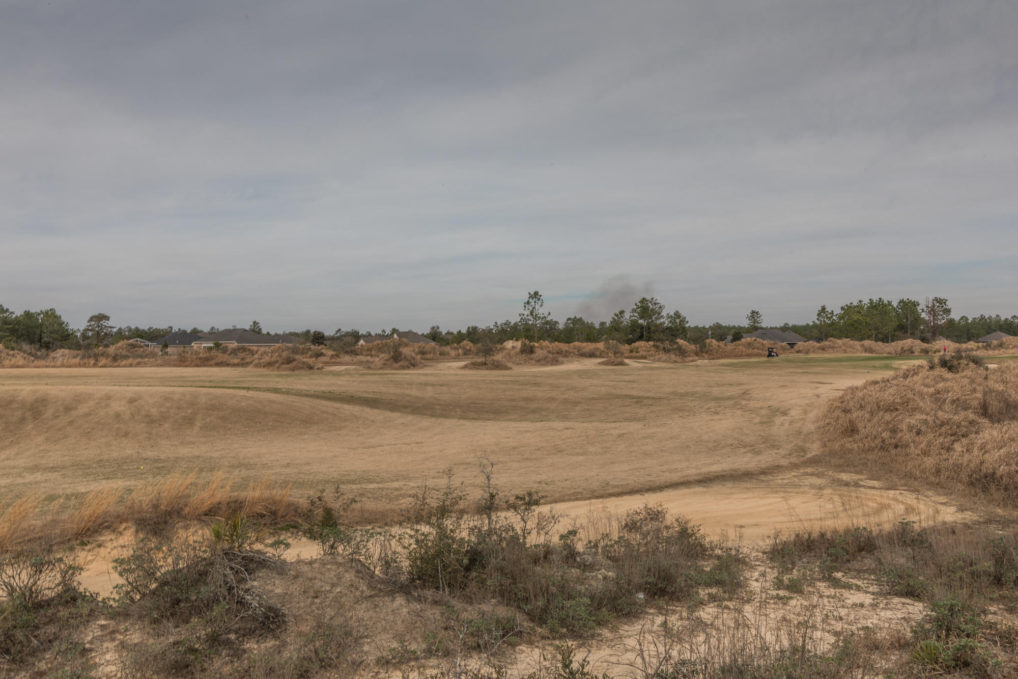 WINDSWEPT ESTATES - Residential