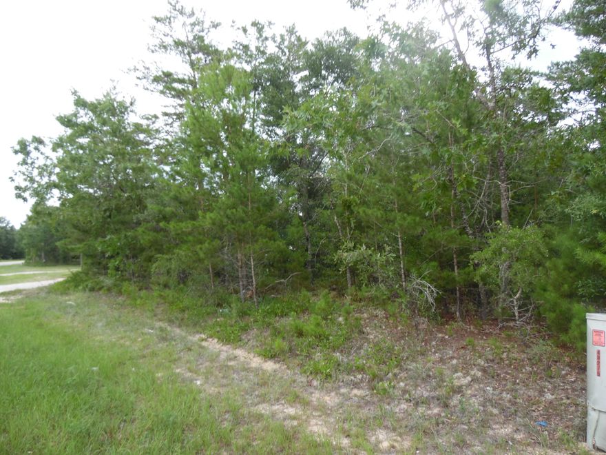 Beautiful acre lot near town.