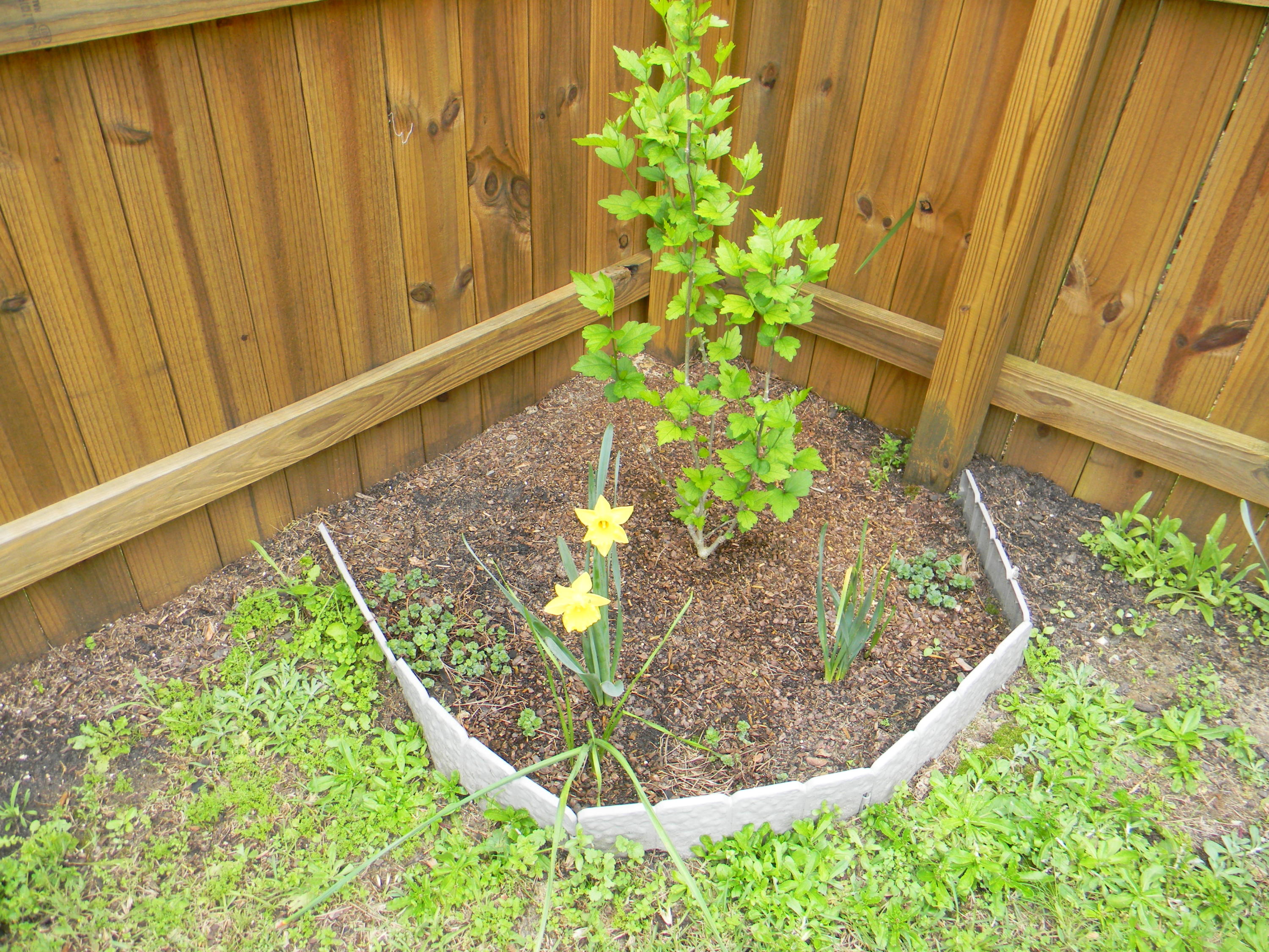 STILLWELL ESTATES - Residential