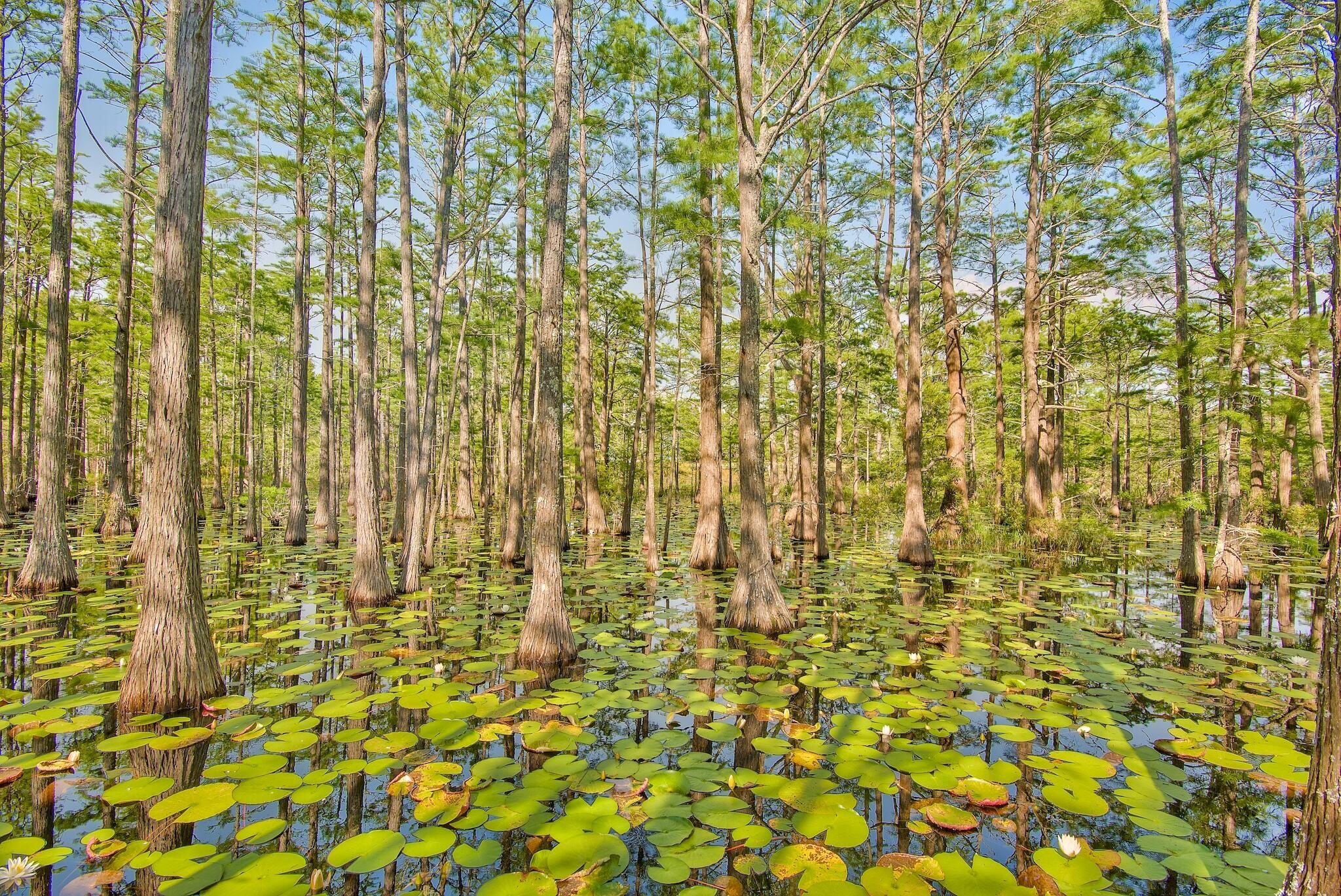 CYPRESS DUNES - Residential