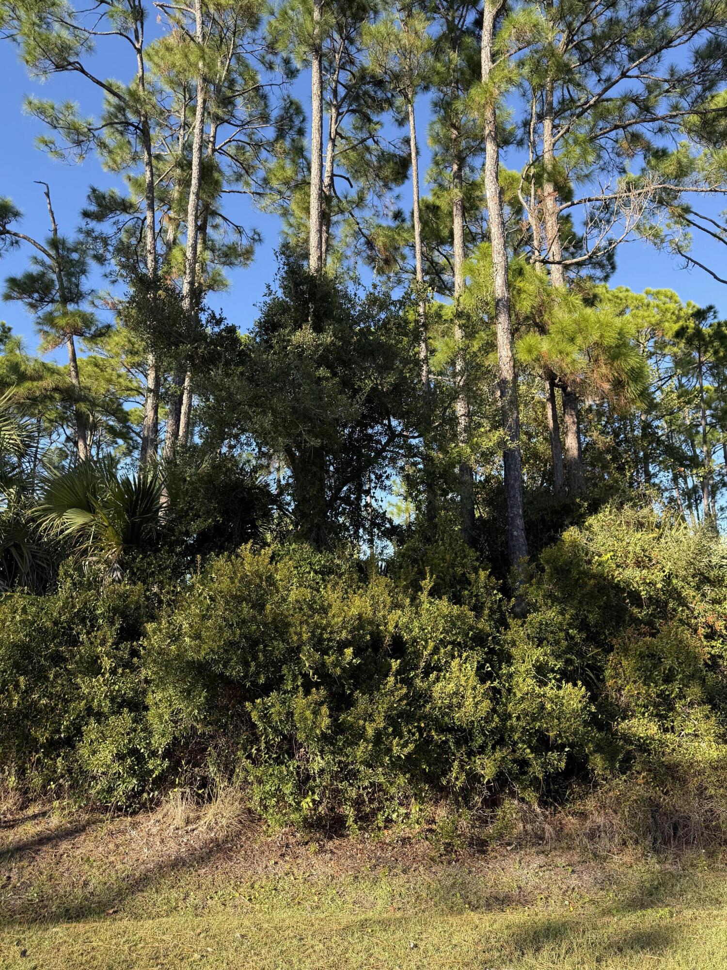 Cottages at Indian Summer - Land