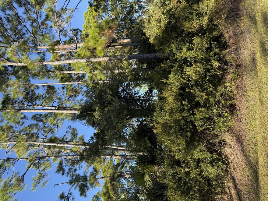 Outstanding building lot that won't break your budget and is in a great location. This FEMA eligible homesite is located in The Cottages at Indian Summer on CR 30 near the World Famous Indian Pass Raw Bar and the newly famous General Store. This lot is only a few steps away from the community pool and across from the direct and dedicated beach access via an expansive boardwalk. Water, shared community septic, and underground power. Bring your beach cottage plans and live the beach dream near the Indian Pass Beach area.