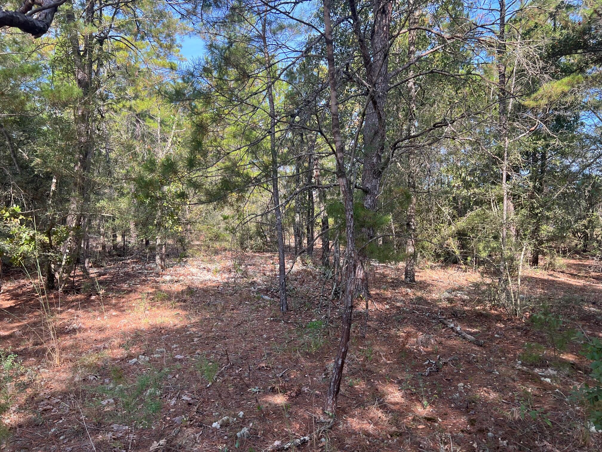 OAKWOOD HILLS UNIT 3 - Land