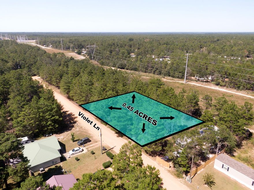 Two lightly wooded adjoining lots in growing Mossy Head area of Defuniak Springs.  Located within apx. 10 minutes to downtown Defuniak Springs; minutes to Blackstone Golf Course in Mossy Head and Eagles Springs Golf Course in Defuniak Springs. Also within 10 minutes to I-10 & Hwy 285 in Mossy Head for a quick commute to Crestview, Niceville and Eglin AFB. Located just off paved road on a dead end street. Electric runs along W Violet; Public water is available through Mossy Head Water Works; Septic tank would be required. Build your dream home, or have a manufactured home set on one or both lots.