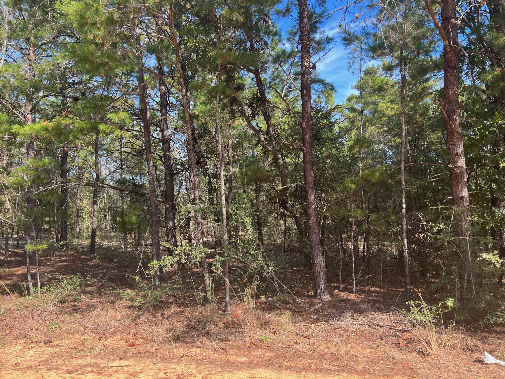 OAKWOOD HILLS UNIT 3 - Land