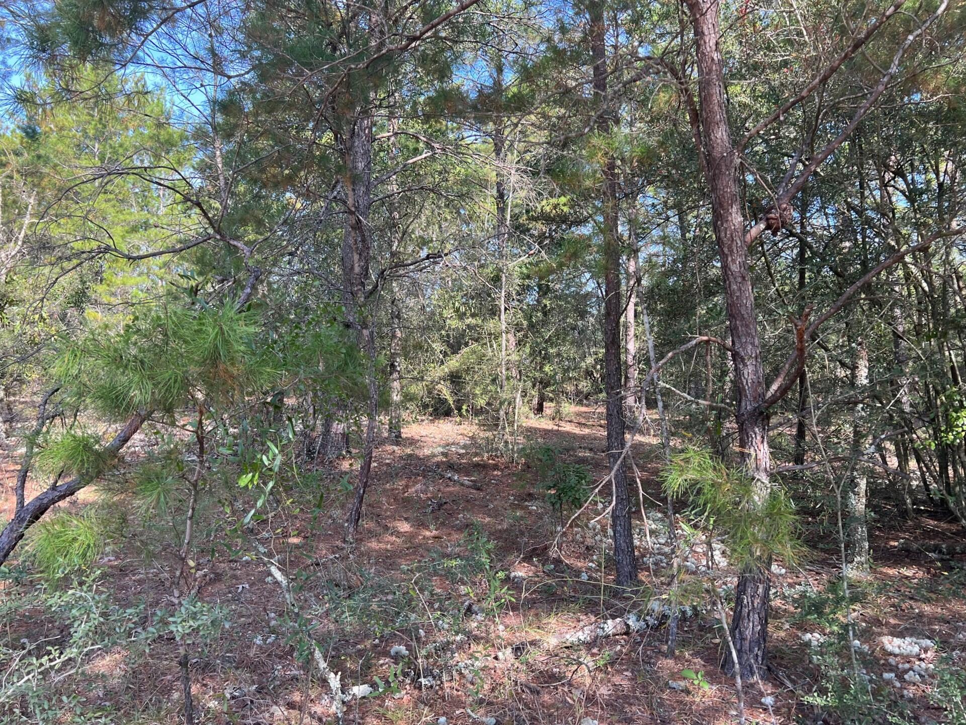 OAKWOOD HILLS UNIT 3 - Land