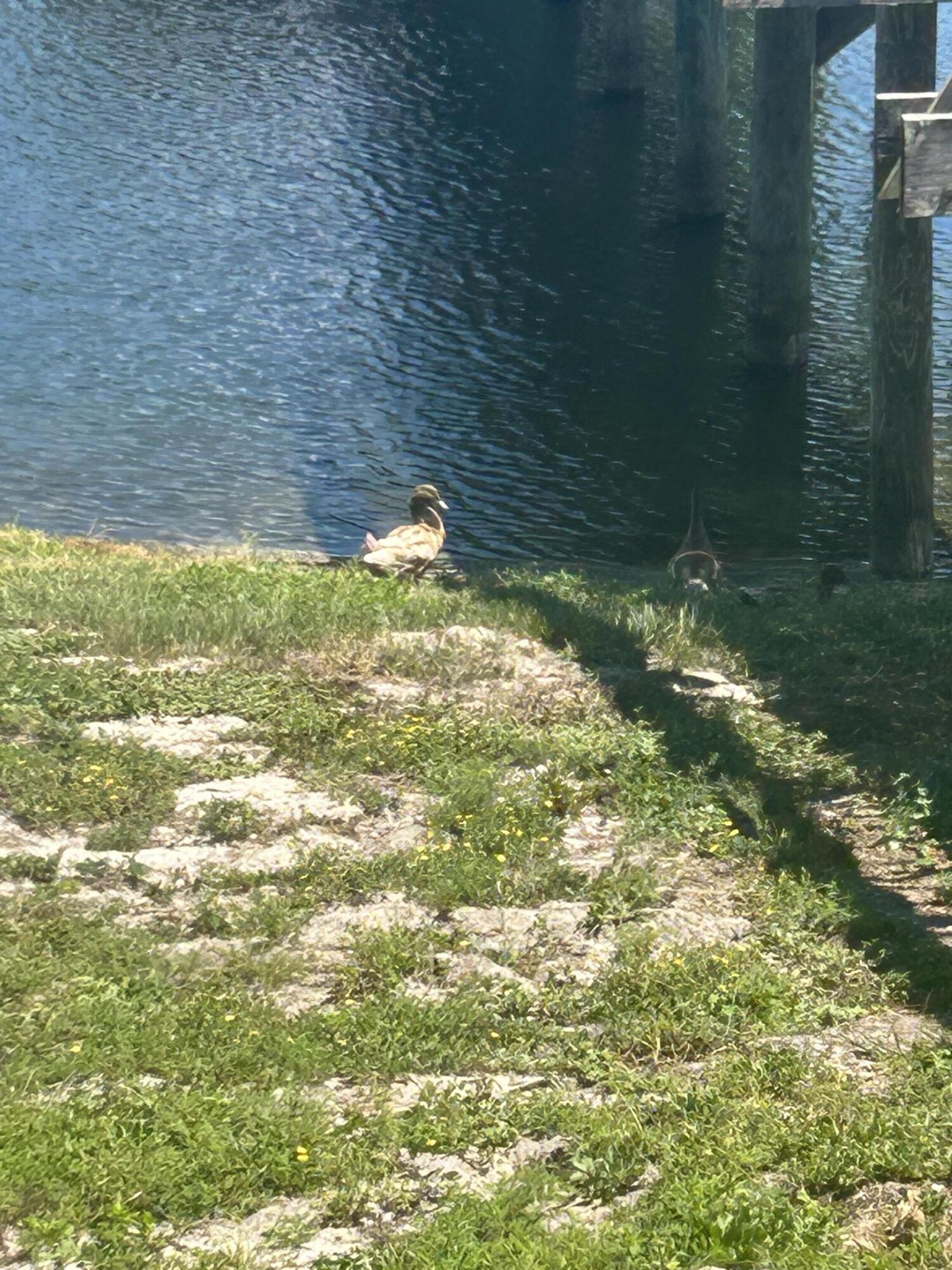 GULF TERRACE CONDO - Residential