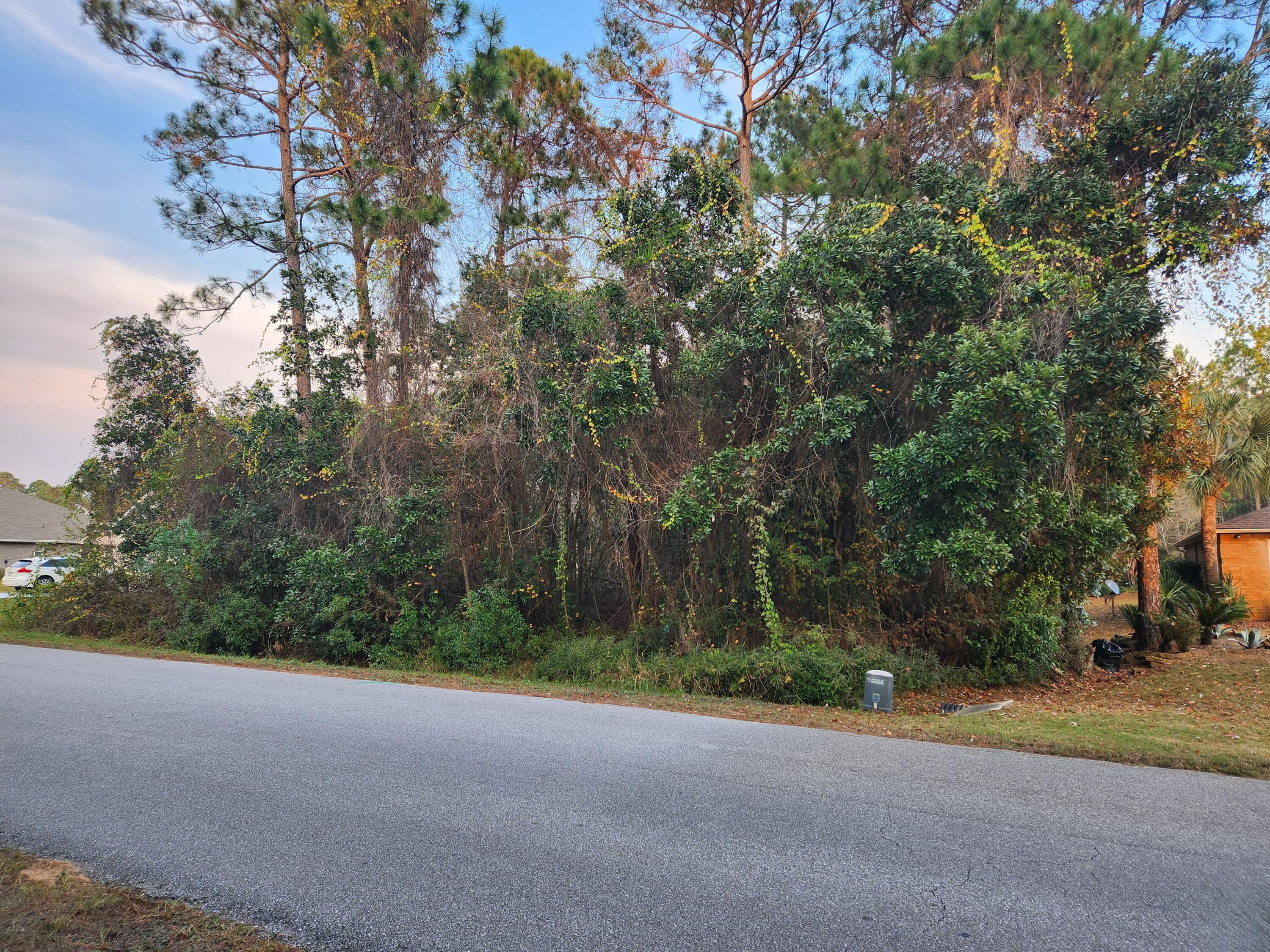 MOTIVATED SELLER , BRING ALL OFFERS Looking for a buildable lot minutes away from the beach, shopping, golfing, entertainment, and Restaurants? This .51 acre lot meets the criteria, but also offers amenities with your HOA membership with Holley by the Sea. With a 48-acre Park and Recreation Center your membership allows access to an exercise area (free weights, cardio theater, weight stations, stretch room, sauna/steam room), event room, 3 swimming pools, 8 clay tennis courts, pickle ball court, basket ball courts, walking trail, shuffle board, grill pavilion, game room (pool, foosball, ping pong, air hockey), summer camp, Soundside Beach Area (beach, playground, fishing pier, flag golf), boat ramp & pier. Hidden Creek Club is minutes away offering 18 holes of golf on one of Florida's top courses. WETLAND STUDY and SURVEY AVAILABLE with approximate cost to mitigate