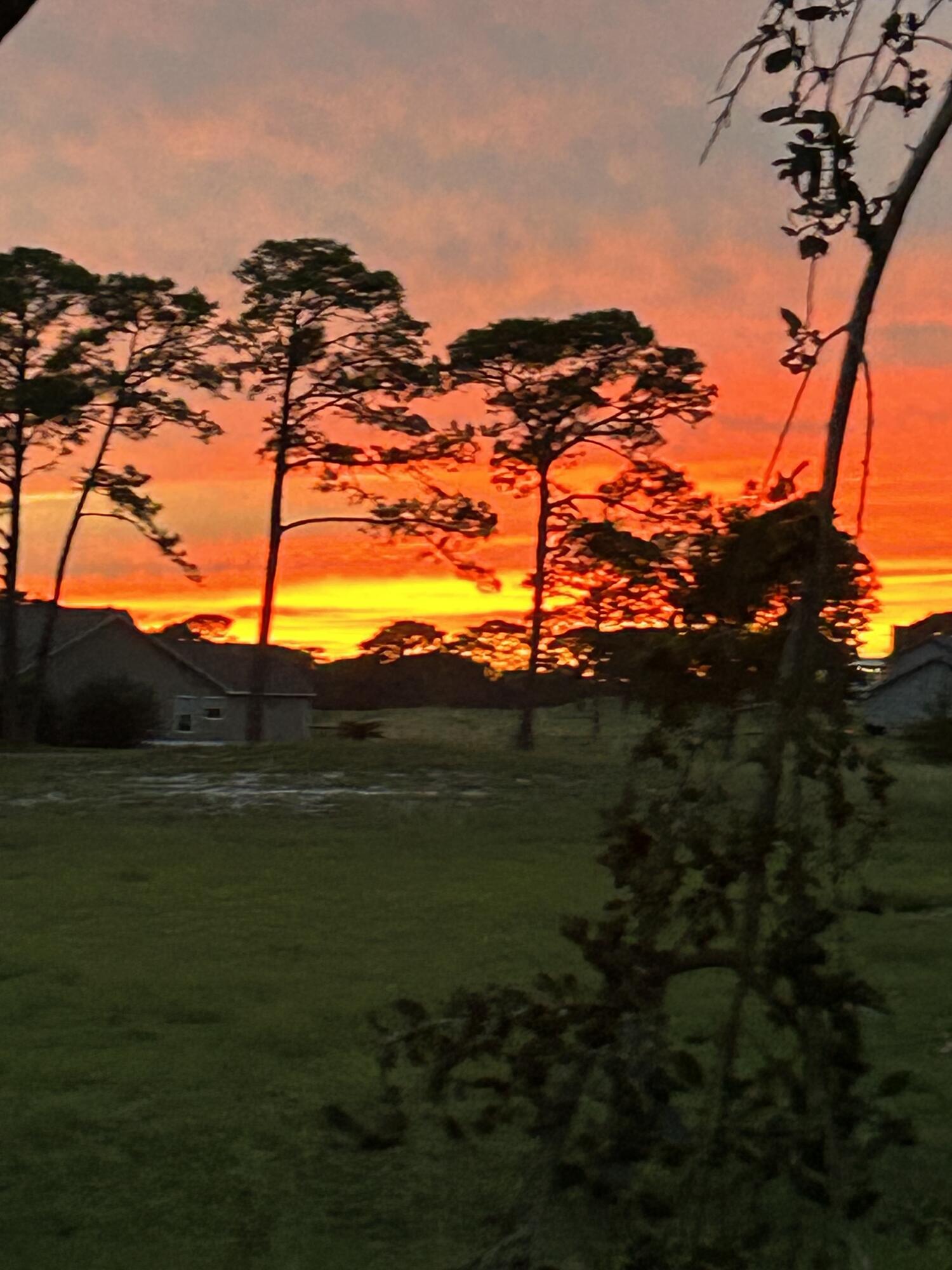 WILLOWOOD - Residential