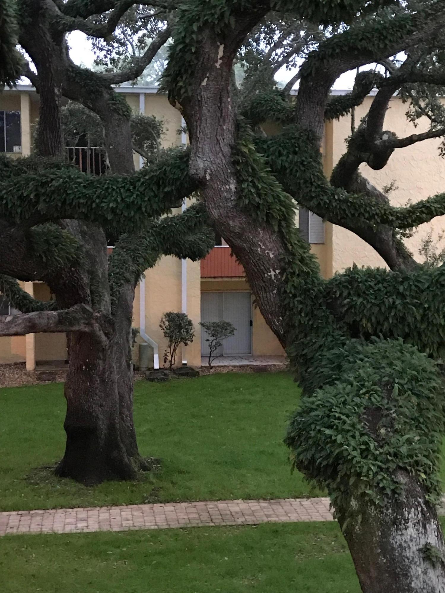 Cedars condominium - Residential Lease