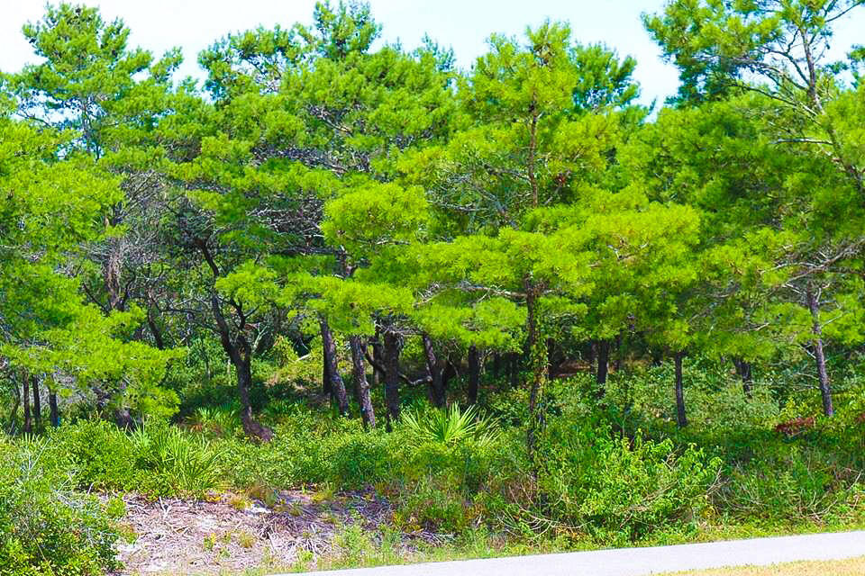 SPIRES FAIRWAY UNREC - Land