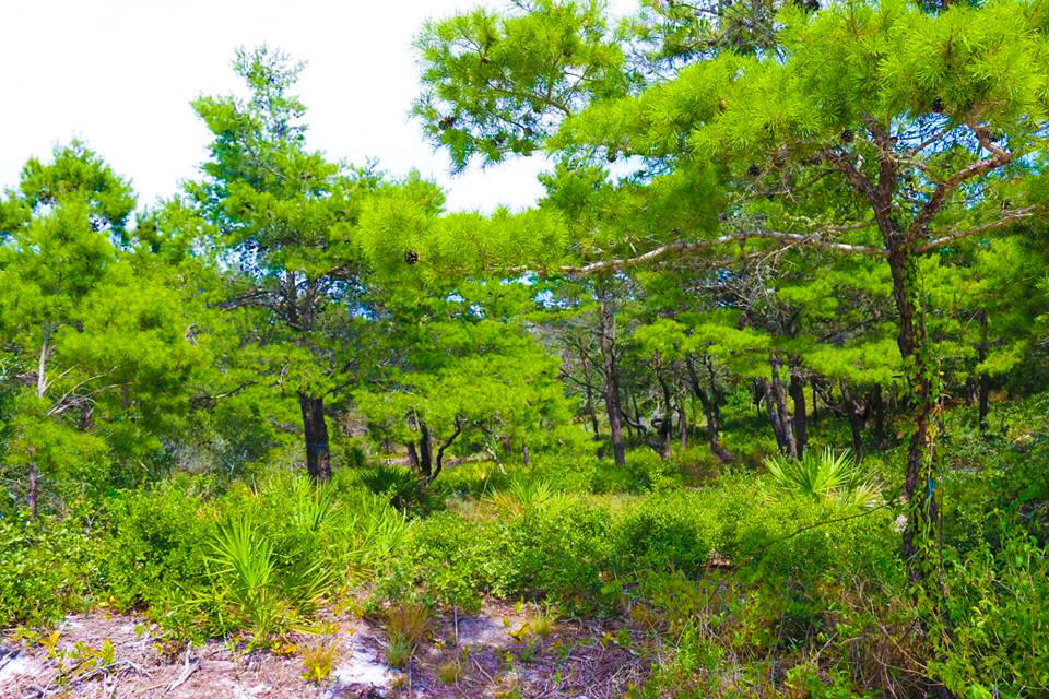 SPIRES FAIRWAY UNREC - Land