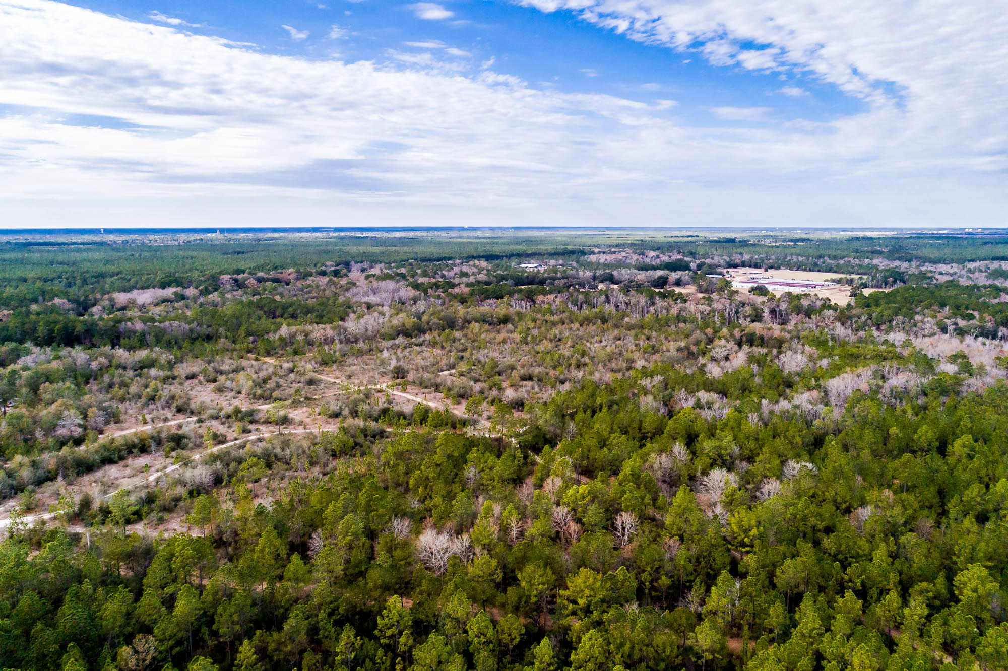 Potential future home site for 200 + homes. - Land