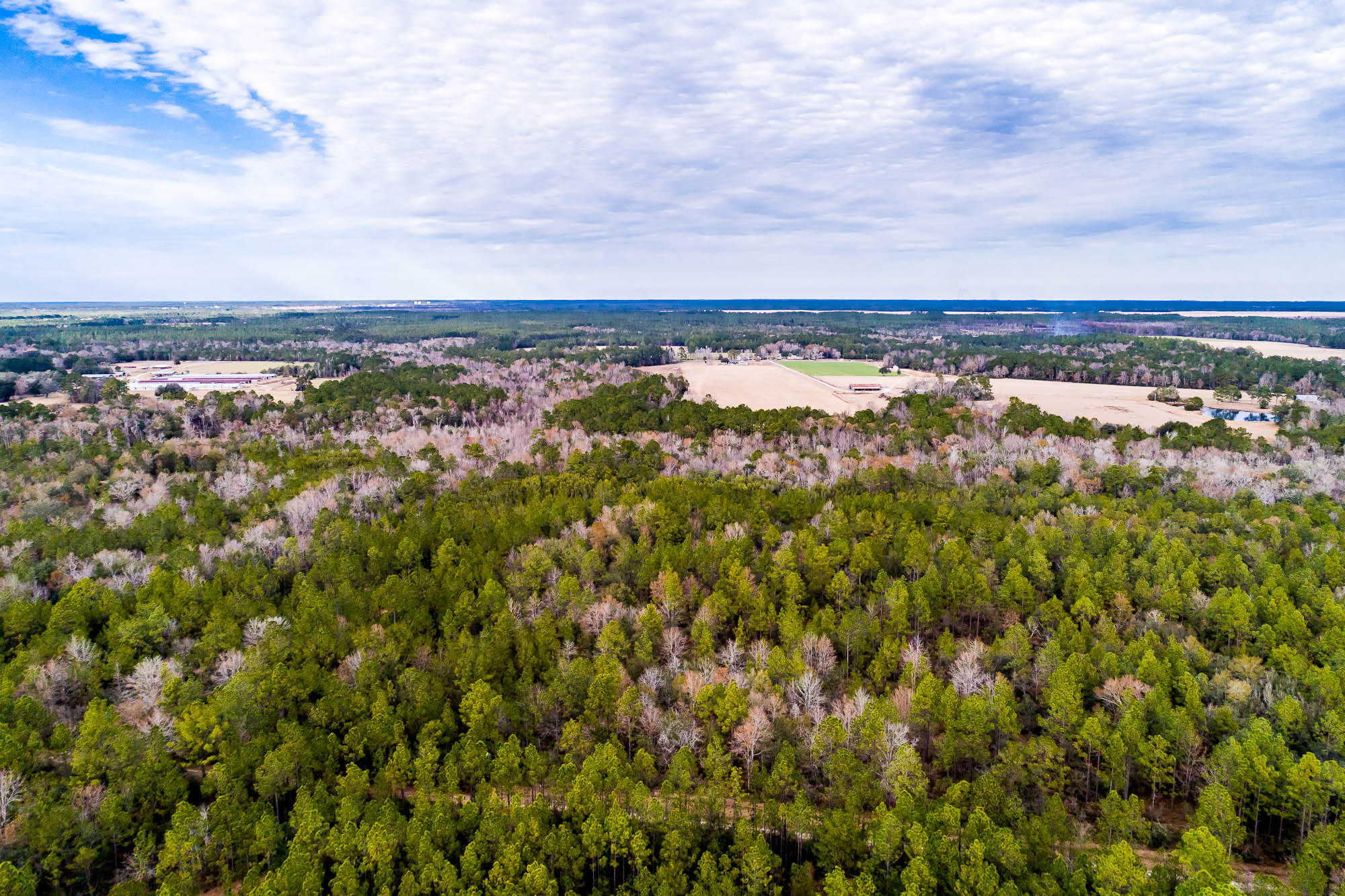 Potential future home site for 200 + homes. - Land