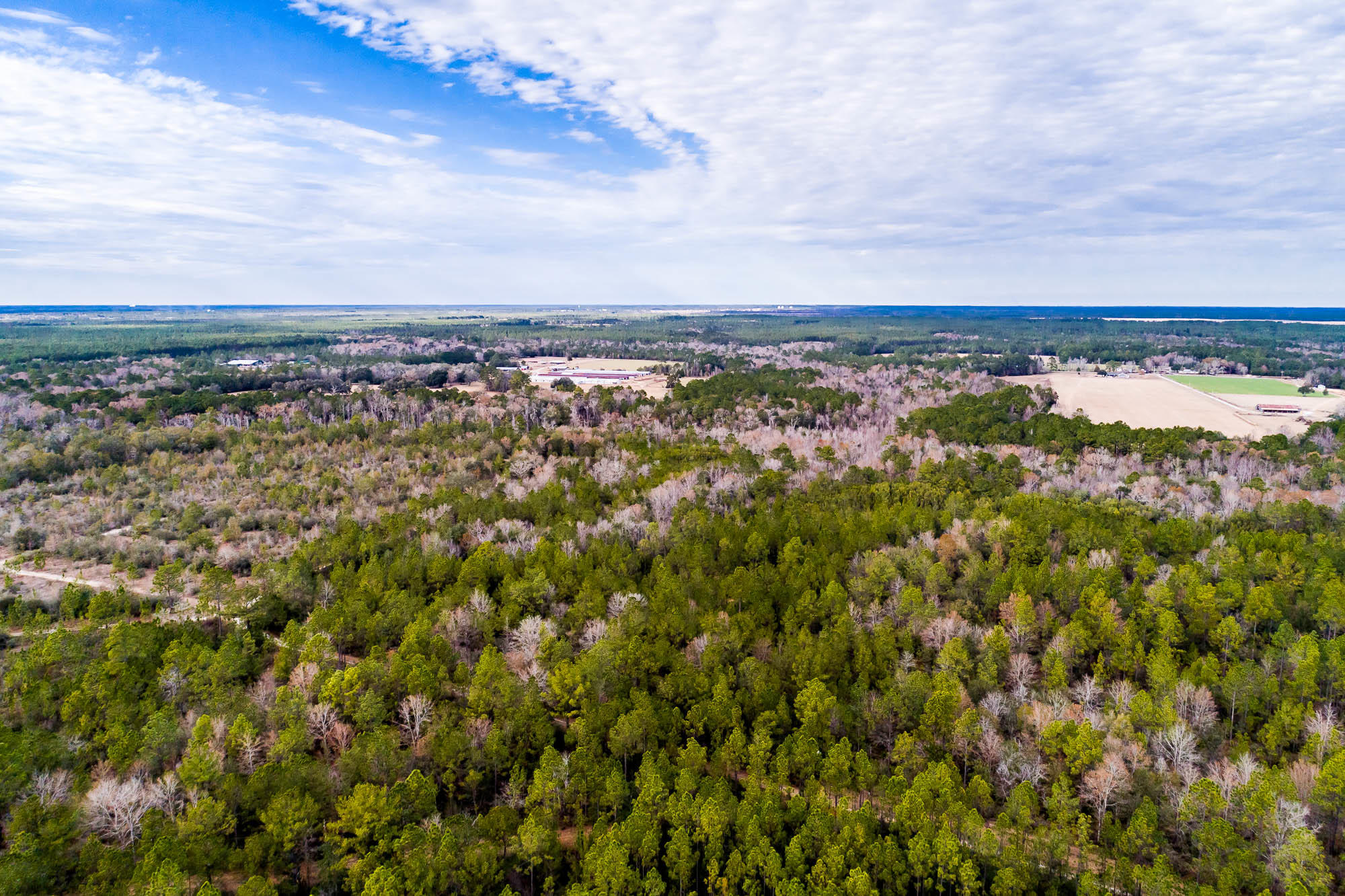 Potential future home site for 200 + homes. - Land