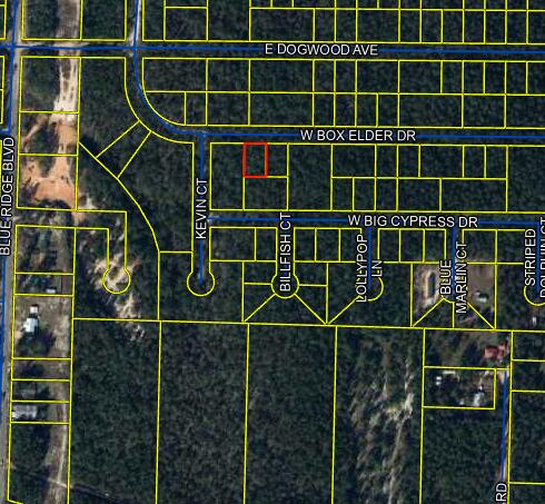 This .23 acre wood lot is located in Defuniak Springs, FL. Buyer will need to survey the lot to confirm property lines and dimensions.