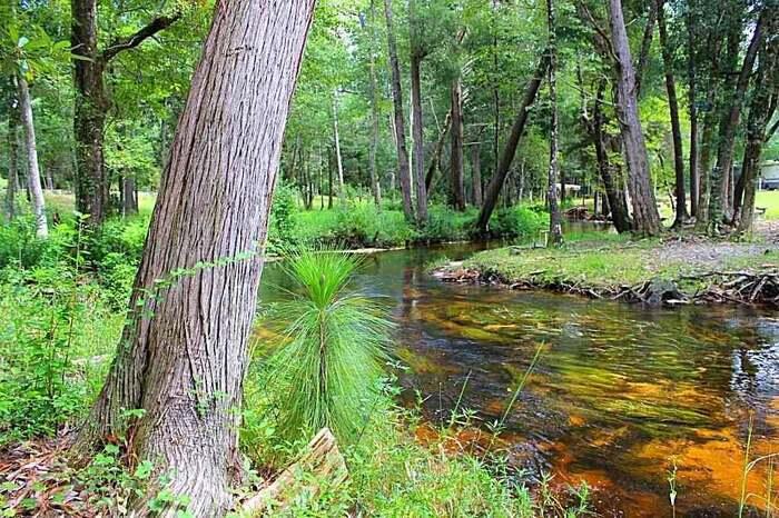 DEER LAKE ESTATES - Land