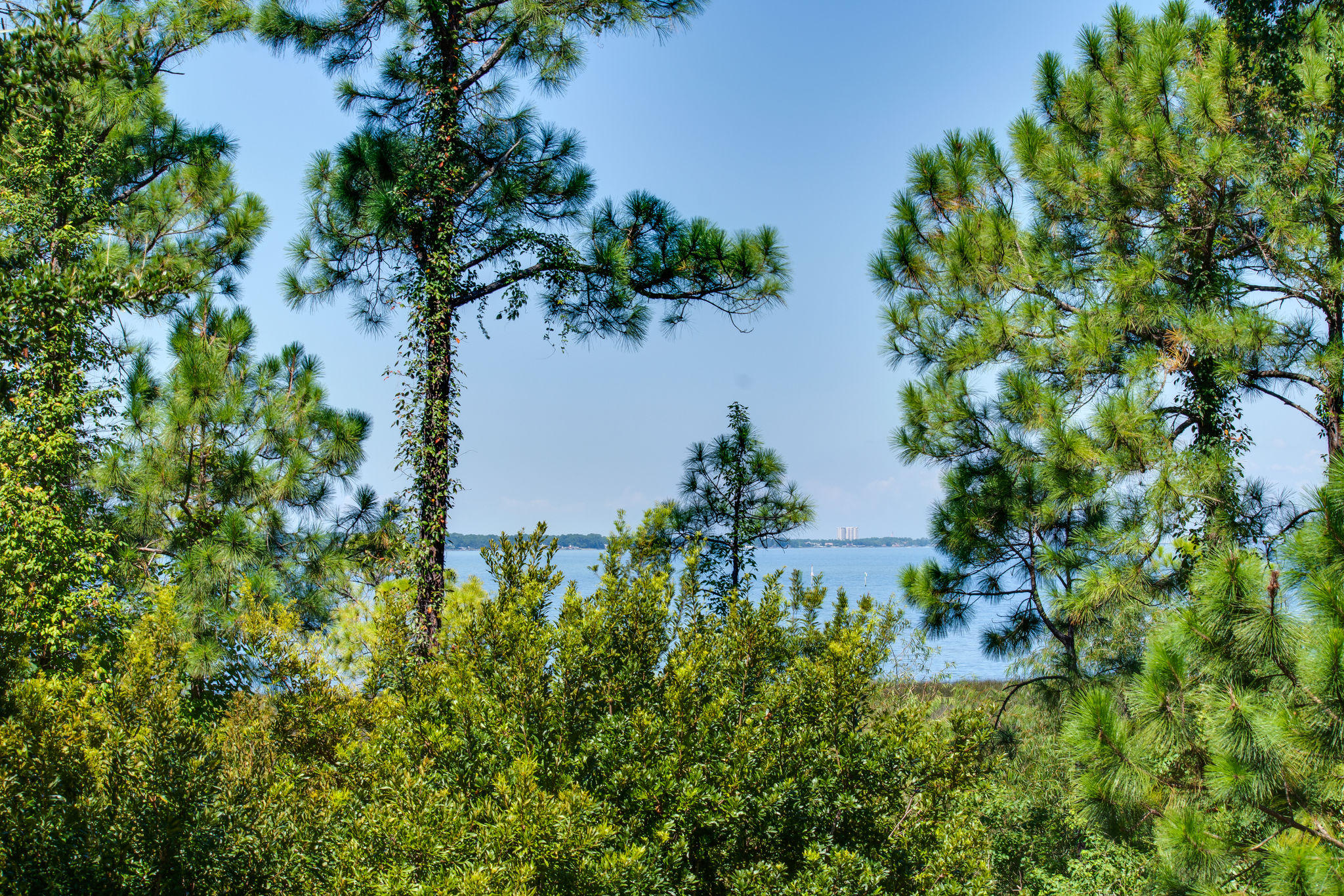 ELATION - Residential