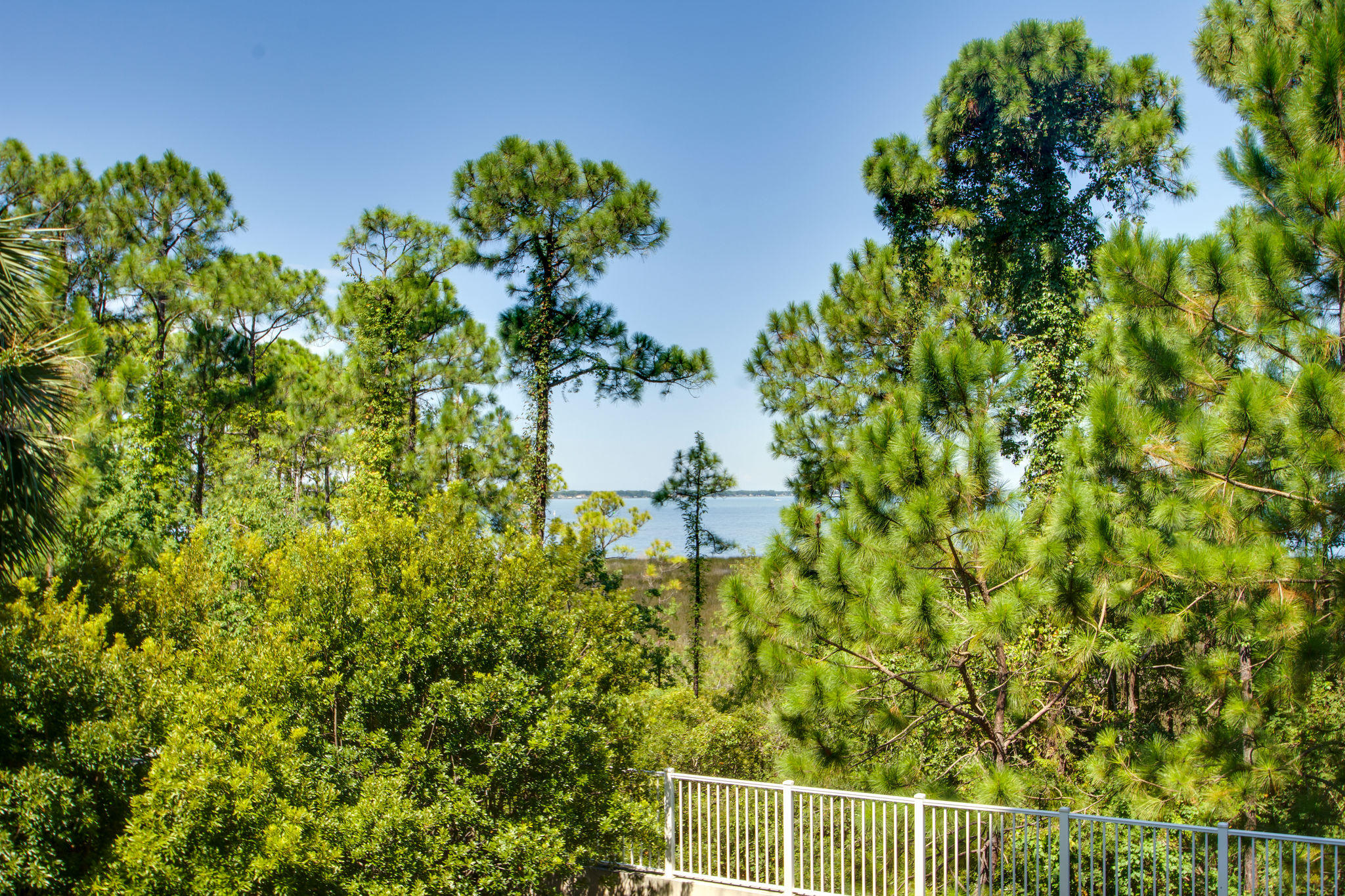 ELATION - Residential