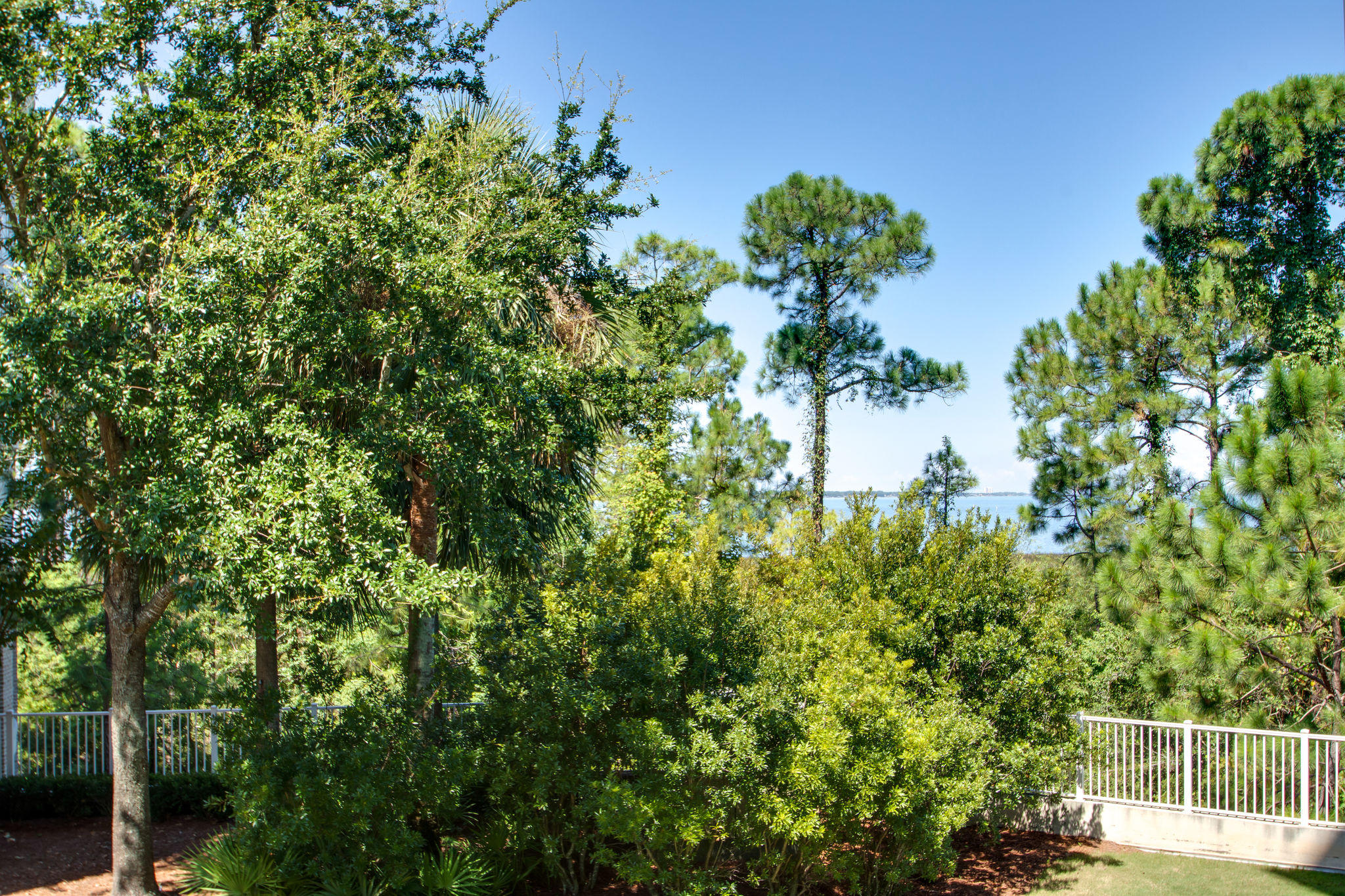 ELATION - Residential