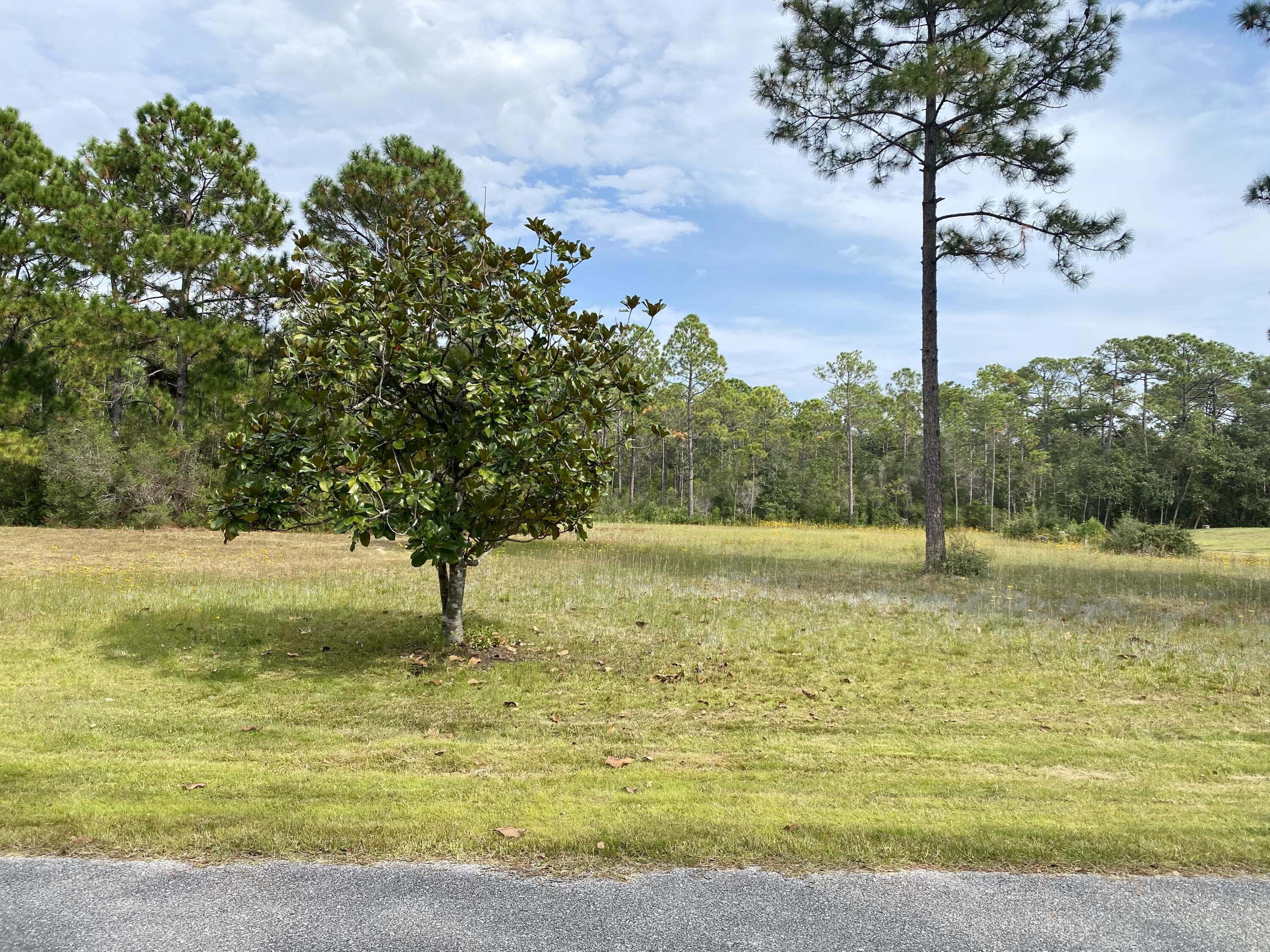 Back on the market by no fault of seller! Looking for a beautiful place to build your dream home? Check out this 0.15 acre corner lot located in the Smugglers Cove subdivision! Smugglers Cove offers owners several amenities including a community pool, clubhouse, tennis, and waterfront access with a dock, picnic area & boat launch. The lot backs up to one of the many ponds within the neighborhood and has several trees. The property is within 5 minutes of the Gulf Breeze Zoo, 10 minutes of the restaurants & shopping in Tiger Point, and 15 minutes of Navarre Beach. Schedule your showing today!